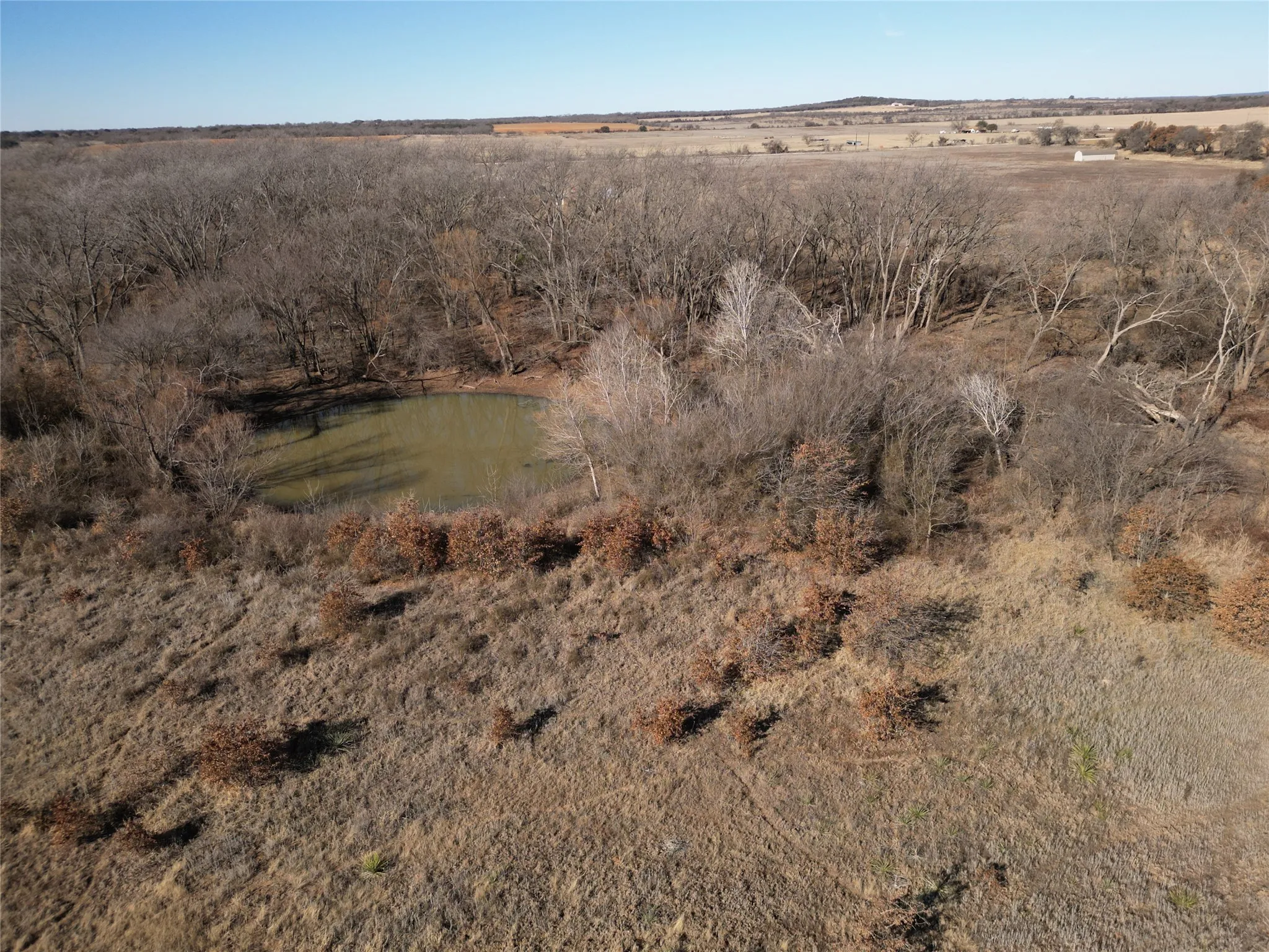 Unimproved Land For Sale in Eastland County , 1235 County Road 226, Rising Star, Texas 76471, 0, 0, Garage spaces, 0 Sqft, built in 0, mls#21179234, Real Estate Agent in Rising Star, Homes For Sale in Eastland county, Homes For Sale in Rising Star, Realtor in Rising Star Texas, Real Estate Brokerage Independent Realty Texas, Luminita Cordes Realtor