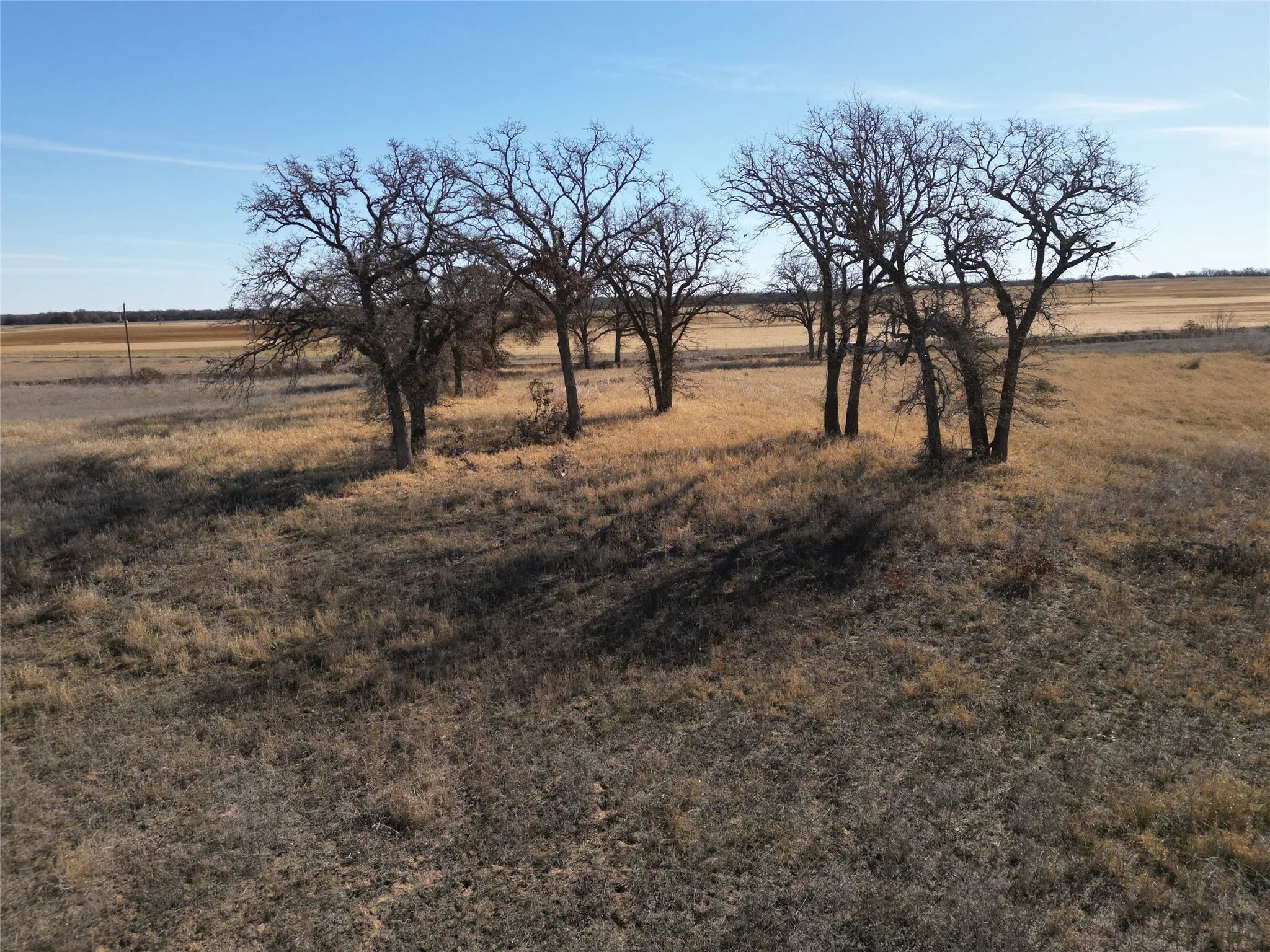 Unimproved Land For Sale in Eastland County , 1235 County Road 226, Rising Star, Texas 76471, 0, 0, Garage spaces, 0 Sqft, built in 0, mls#21179234, Real Estate Agent in Rising Star, Homes For Sale in Eastland county, Homes For Sale in Rising Star, Realtor in Rising Star Texas, Real Estate Brokerage Independent Realty Texas, Luminita Cordes Realtor
