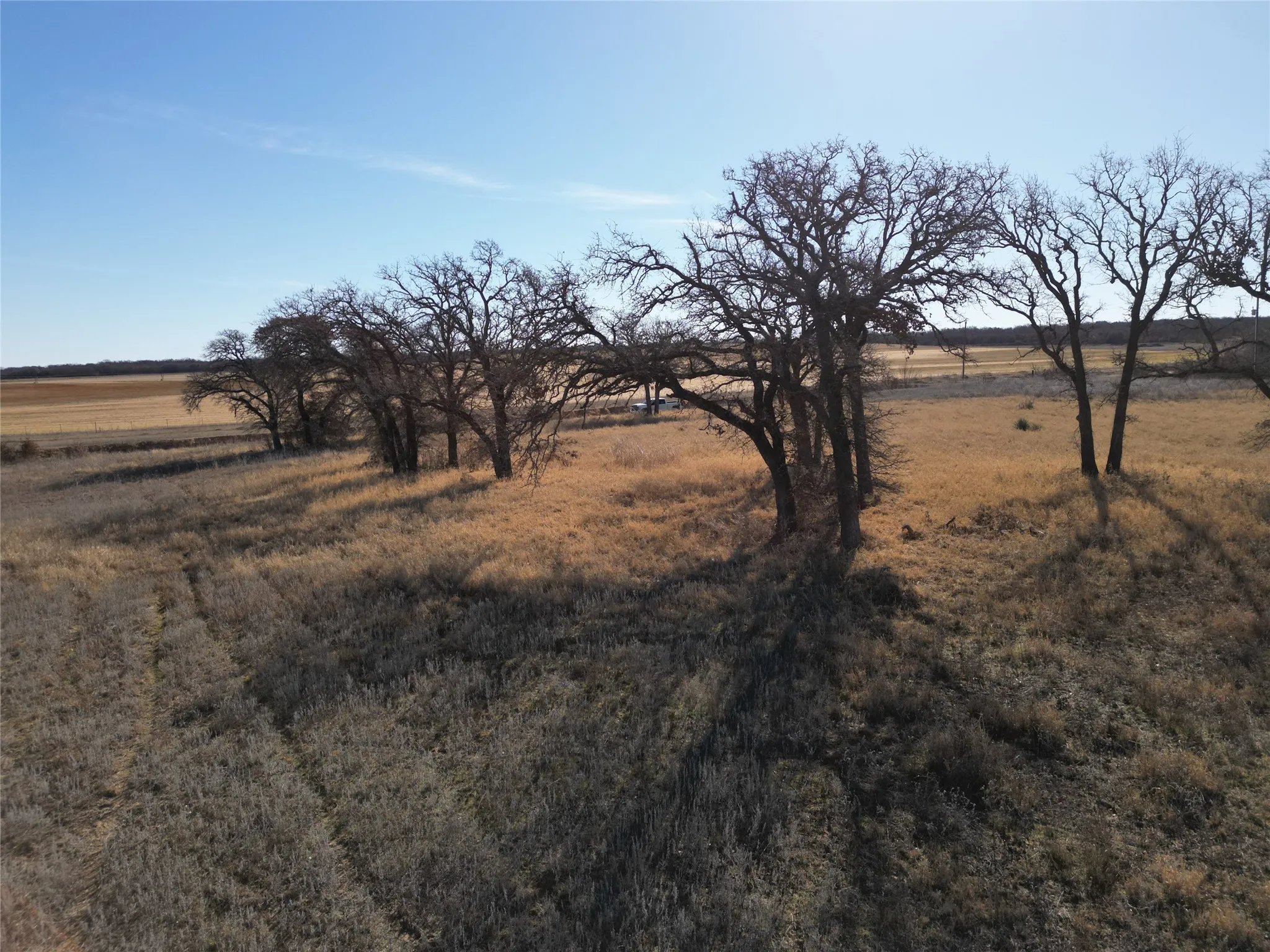 Unimproved Land For Sale in Eastland County , 1235 County Road 226, Rising Star, Texas 76471, 0, 0, Garage spaces, 0 Sqft, built in 0, mls#21179234, Real Estate Agent in Rising Star, Homes For Sale in Eastland county, Homes For Sale in Rising Star, Realtor in Rising Star Texas, Real Estate Brokerage Independent Realty Texas, Luminita Cordes Realtor