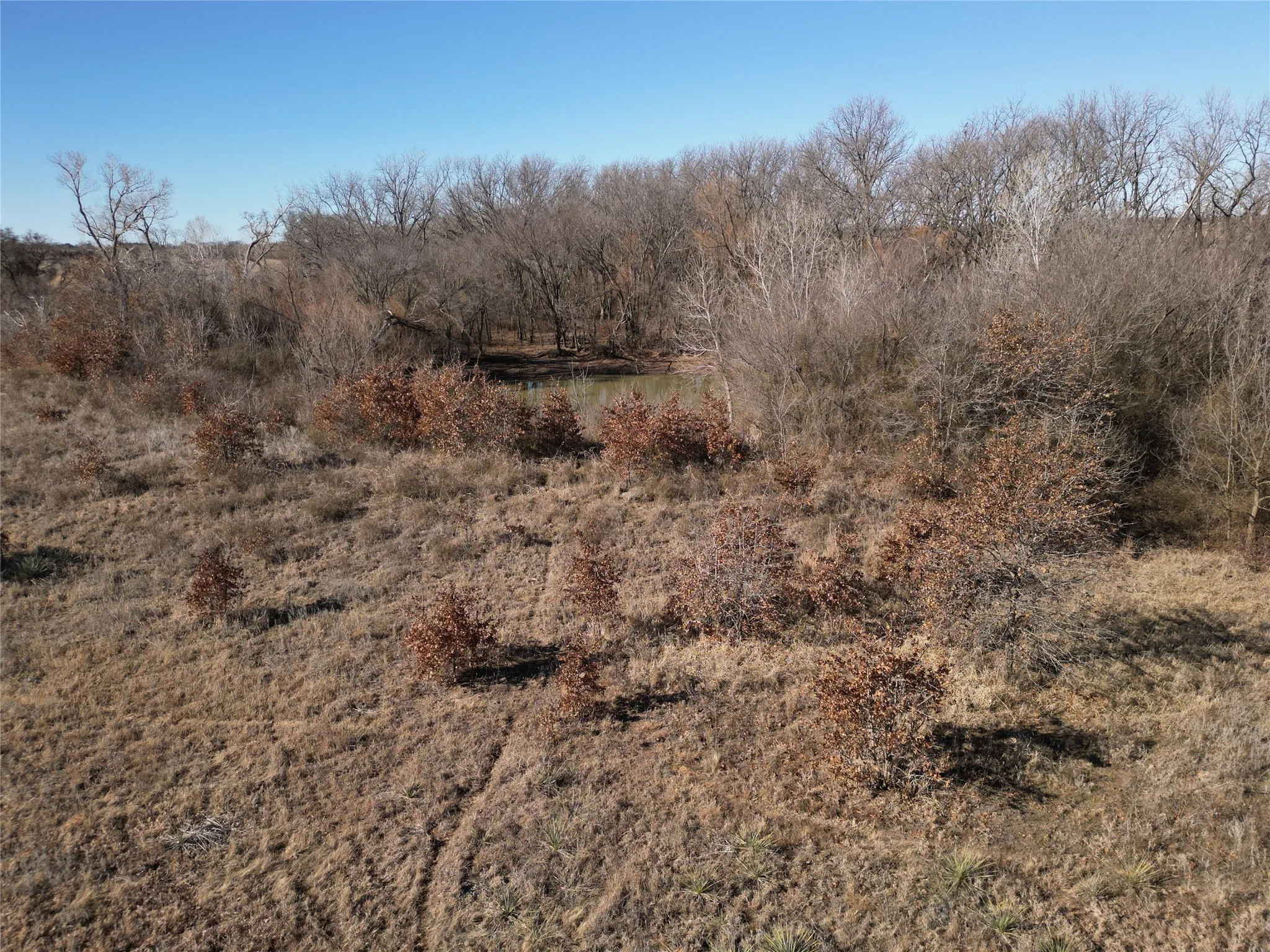 Unimproved Land For Sale in Eastland County , 1235 County Road 226, Rising Star, Texas 76471, 0, 0, Garage spaces, 0 Sqft, built in 0, mls#21179234, Real Estate Agent in Rising Star, Homes For Sale in Eastland county, Homes For Sale in Rising Star, Realtor in Rising Star Texas, Real Estate Brokerage Independent Realty Texas, Luminita Cordes Realtor