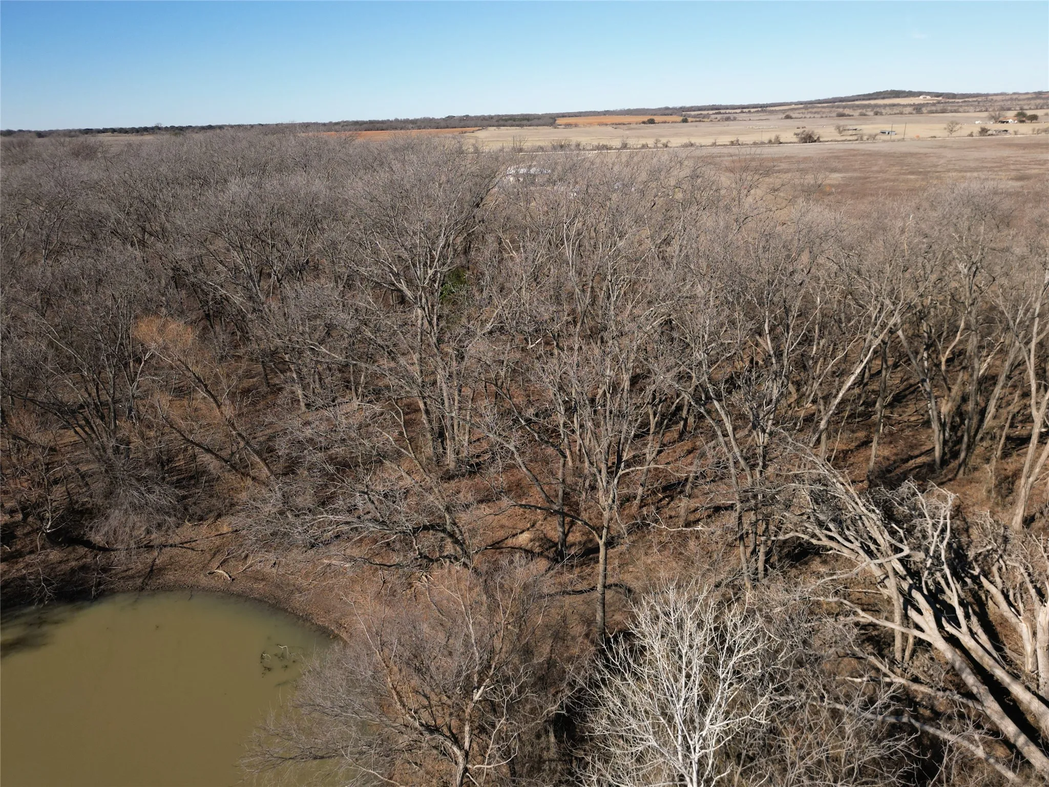 Unimproved Land For Sale in Eastland County , 1235 County Road 226, Rising Star, Texas 76471, 0, 0, Garage spaces, 0 Sqft, built in 0, mls#21179234, Real Estate Agent in Rising Star, Homes For Sale in Eastland county, Homes For Sale in Rising Star, Realtor in Rising Star Texas, Real Estate Brokerage Independent Realty Texas, Luminita Cordes Realtor