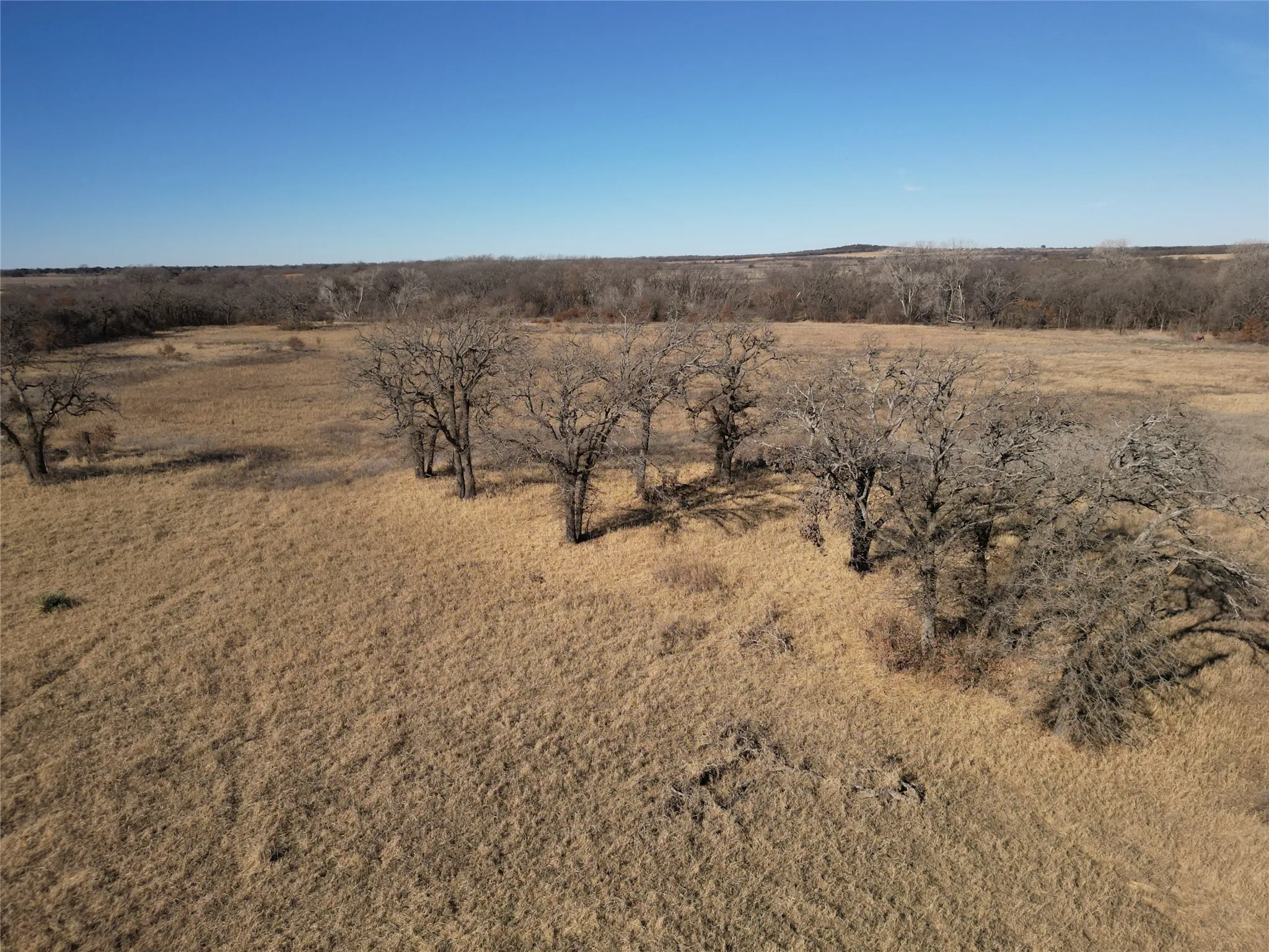 Unimproved Land For Sale in Eastland County , 1235 County Road 226, Rising Star, Texas 76471, 0, 0, Garage spaces, 0 Sqft, built in 0, mls#21179234, Real Estate Agent in Rising Star, Homes For Sale in Eastland county, Homes For Sale in Rising Star, Realtor in Rising Star Texas, Real Estate Brokerage Independent Realty Texas, Luminita Cordes Realtor
