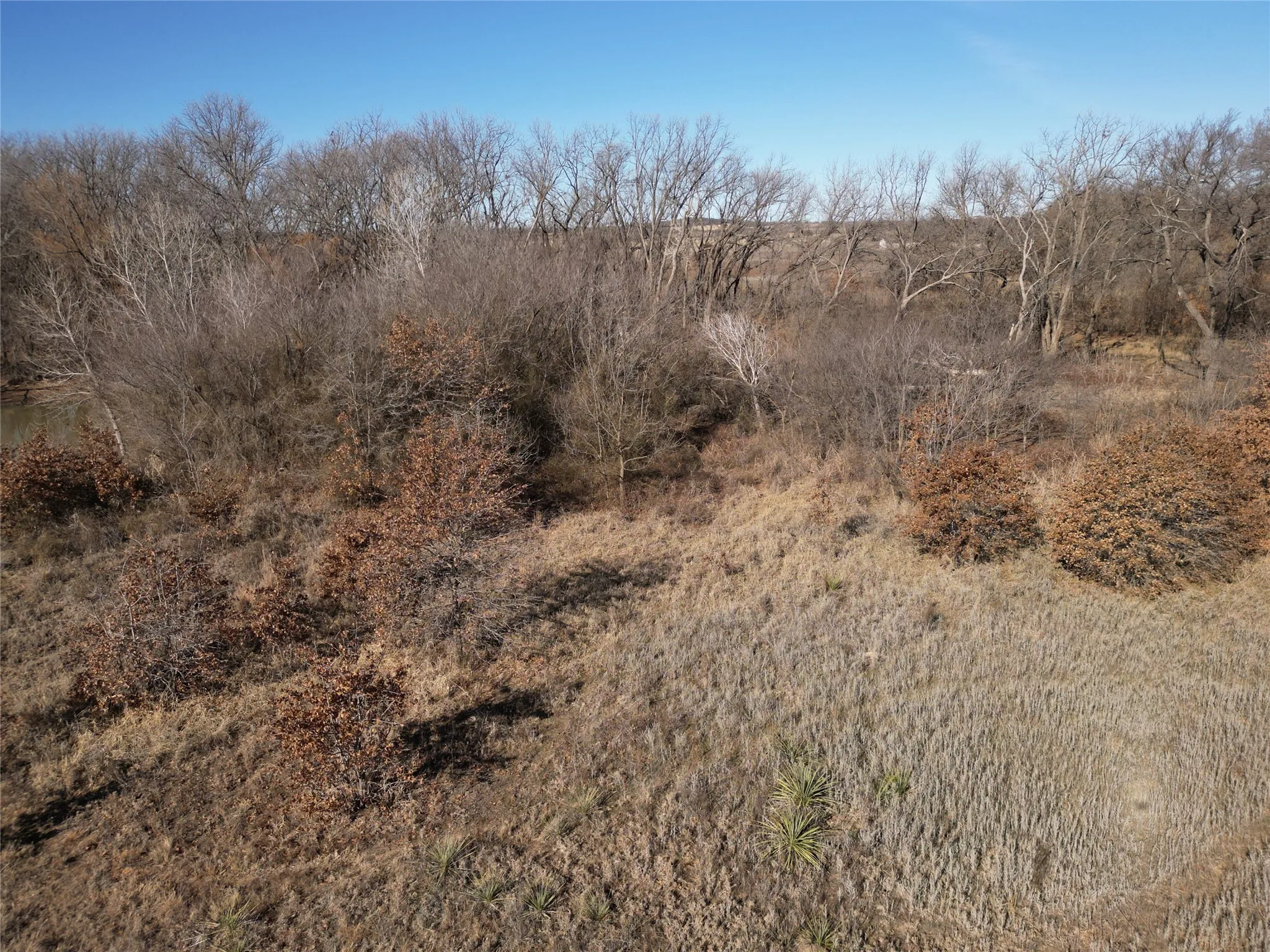 Unimproved Land For Sale in Eastland County , 1235 County Road 226, Rising Star, Texas 76471, 0, 0, Garage spaces, 0 Sqft, built in 0, mls#21179234, Real Estate Agent in Rising Star, Homes For Sale in Eastland county, Homes For Sale in Rising Star, Realtor in Rising Star Texas, Real Estate Brokerage Independent Realty Texas, Luminita Cordes Realtor