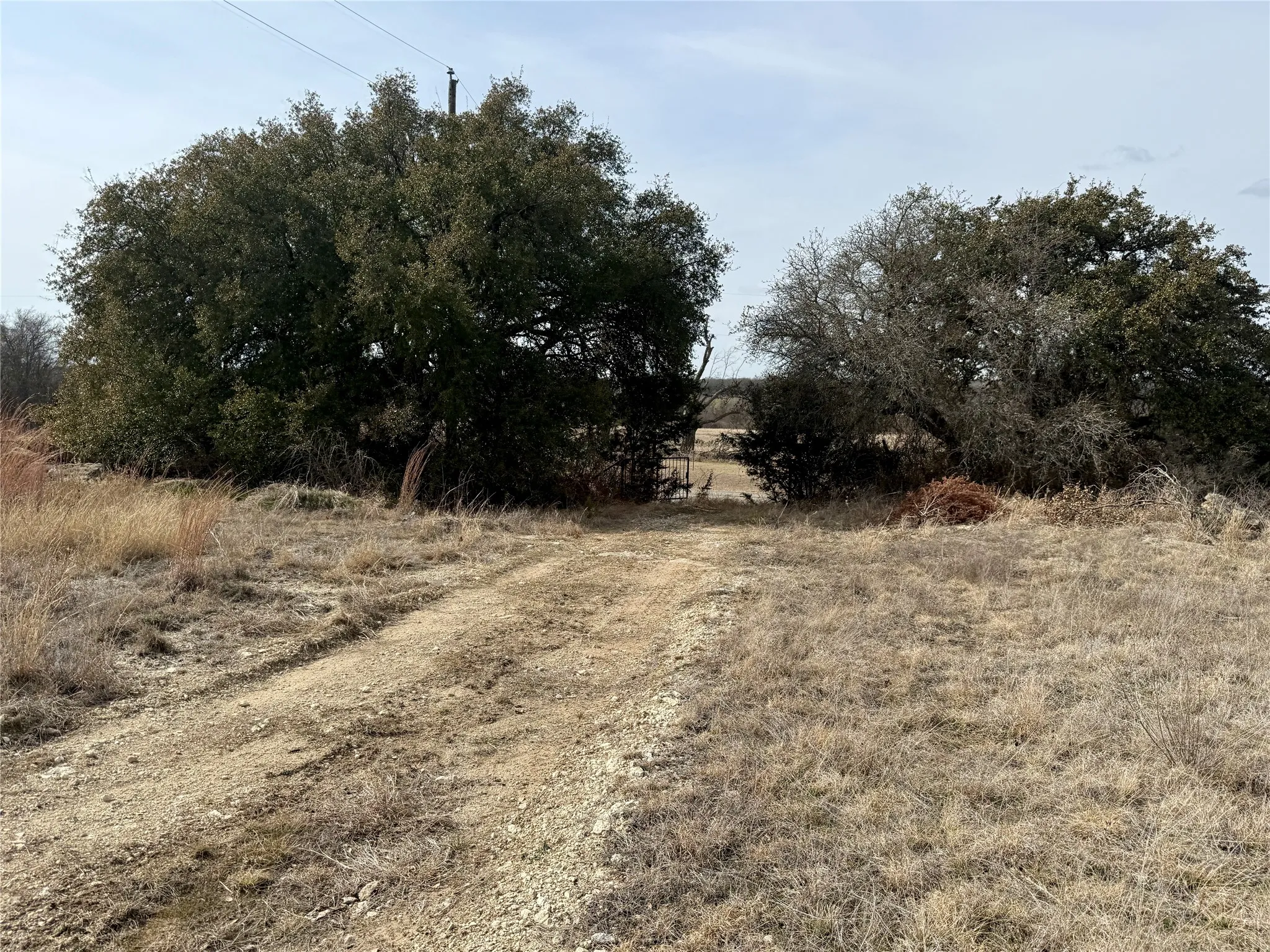 Unimproved Land For Sale in Hamilton County , 531 FM 1744, Carlton, Texas 76436, 0, 0, Garage spaces, 0 Sqft, built in 0, Price $599,900, mls#21179935, Real Estate Agent in Carlton, Homes For Sale in Hamilton county, Homes For Sale in Carlton, Realtor in Carlton Texas, Real Estate Brokerage Independent Realty Texas, Luminita Cordes Realtor