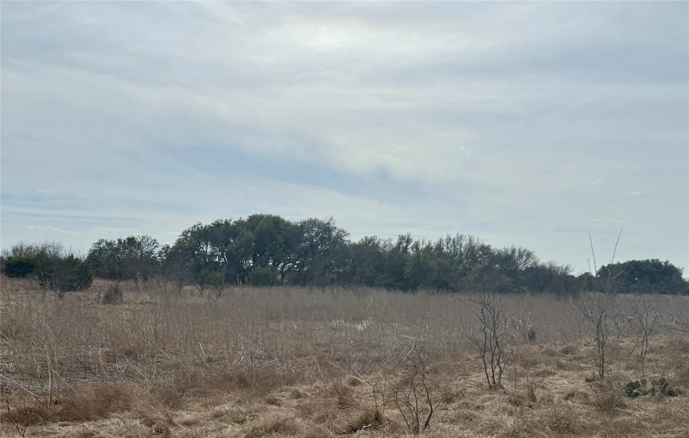 Unimproved Land For Sale in Hamilton County , 531 FM 1744, Carlton, Texas 76436, 0, 0, Garage spaces, 0 Sqft, built in 0, Price $599,900, mls#21179935, Real Estate Agent in Carlton, Homes For Sale in Hamilton county, Homes For Sale in Carlton, Realtor in Carlton Texas, Real Estate Brokerage Independent Realty Texas, Luminita Cordes Realtor