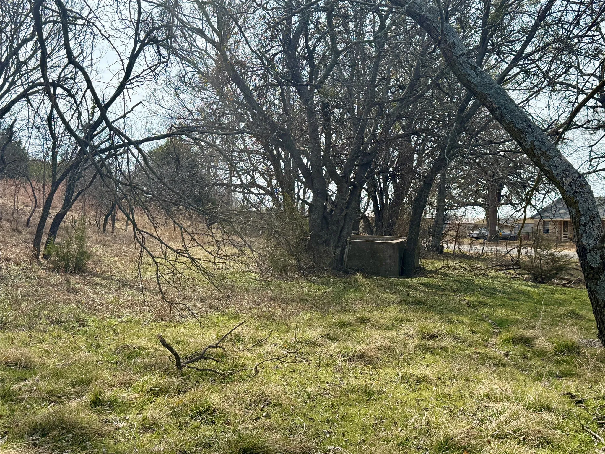 Unimproved Land For Sale in Hamilton County , 531 FM 1744, Carlton, Texas 76436, 0, 0, Garage spaces, 0 Sqft, built in 0, Price $599,900, mls#21179935, Real Estate Agent in Carlton, Homes For Sale in Hamilton county, Homes For Sale in Carlton, Realtor in Carlton Texas, Real Estate Brokerage Independent Realty Texas, Luminita Cordes Realtor