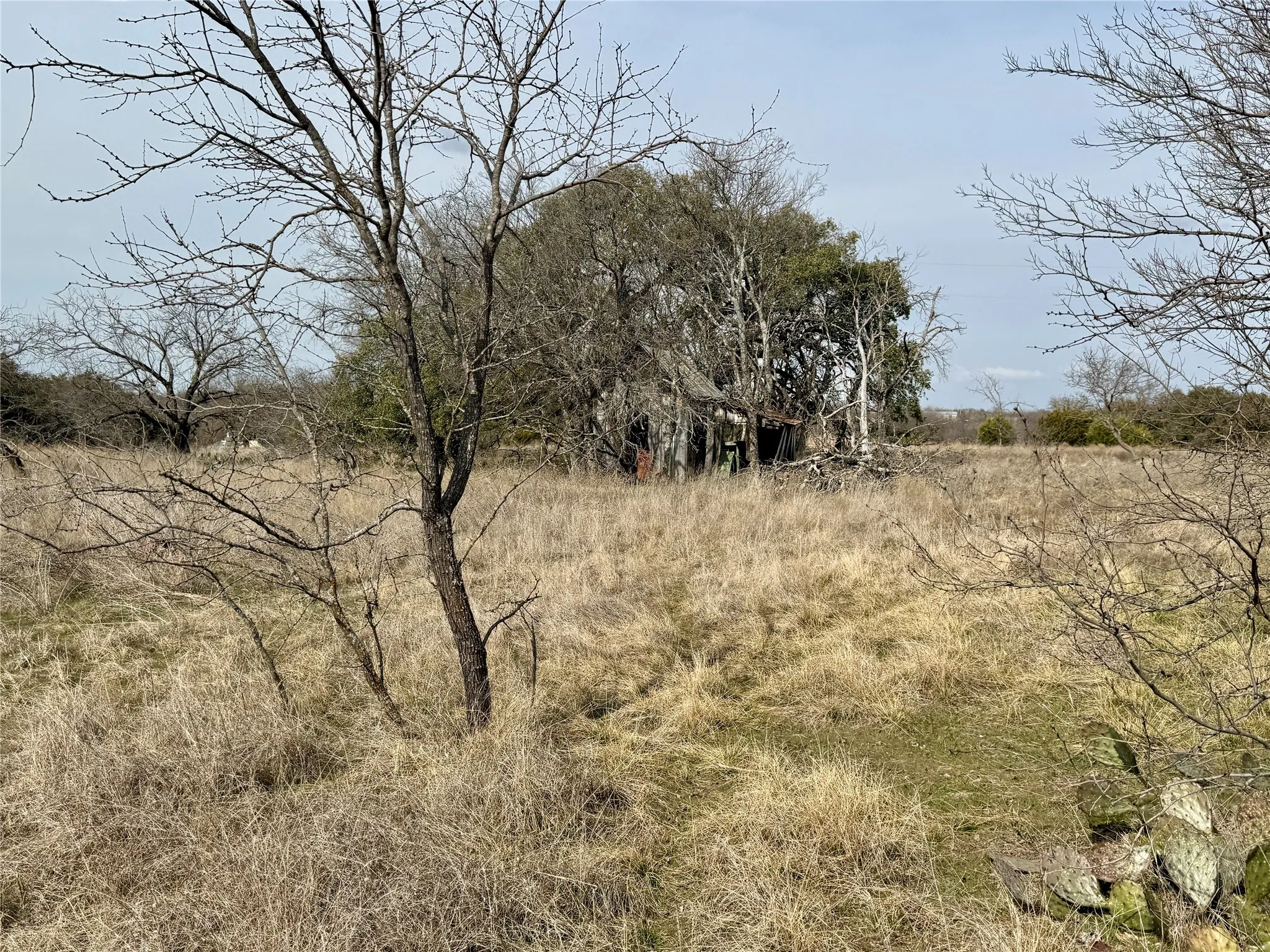 Unimproved Land For Sale in Hamilton County , 531 FM 1744, Carlton, Texas 76436, 0, 0, Garage spaces, 0 Sqft, built in 0, Price $599,900, mls#21179935, Real Estate Agent in Carlton, Homes For Sale in Hamilton county, Homes For Sale in Carlton, Realtor in Carlton Texas, Real Estate Brokerage Independent Realty Texas, Luminita Cordes Realtor