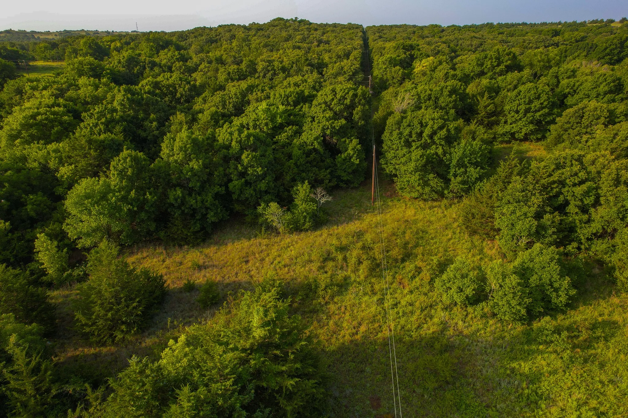 Unimproved Land For Sale in Montague County , 0000 Dye Mound Rd, Forestburg, Texas 76239, 0, 0, Garage spaces, 0 Sqft, built in 0, Price $1,260,000, mls#21179915, Real Estate Agent in Forestburg, Homes For Sale in Montague county, Homes For Sale in Forestburg, Realtor in Forestburg Texas, Real Estate Brokerage Independent Realty Texas, Luminita Cordes Realtor