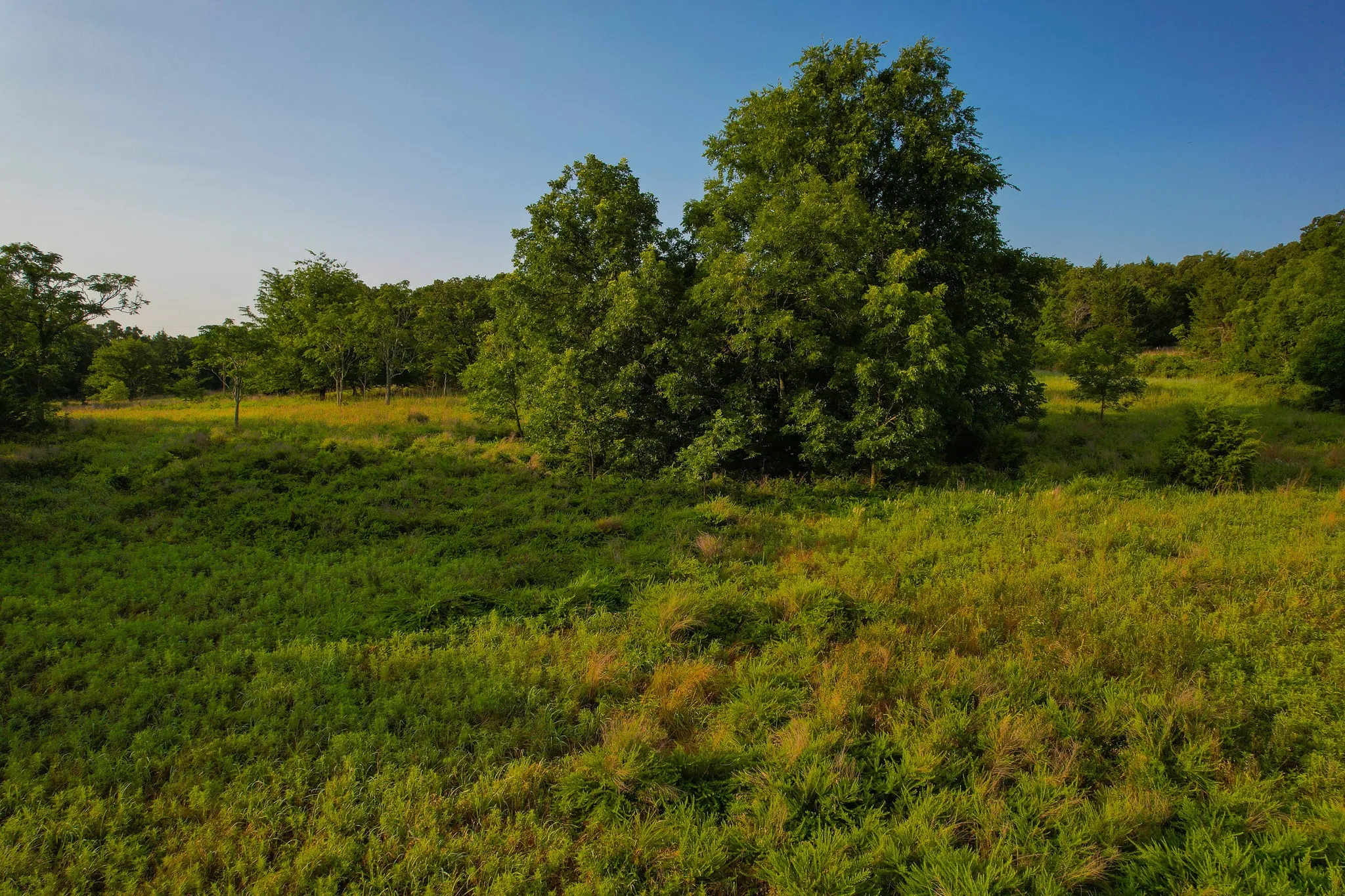 Unimproved Land For Sale in Montague County , 0000 Dye Mound Rd, Forestburg, Texas 76239, 0, 0, Garage spaces, 0 Sqft, built in 0, Price $1,260,000, mls#21179915, Real Estate Agent in Forestburg, Homes For Sale in Montague county, Homes For Sale in Forestburg, Realtor in Forestburg Texas, Real Estate Brokerage Independent Realty Texas, Luminita Cordes Realtor