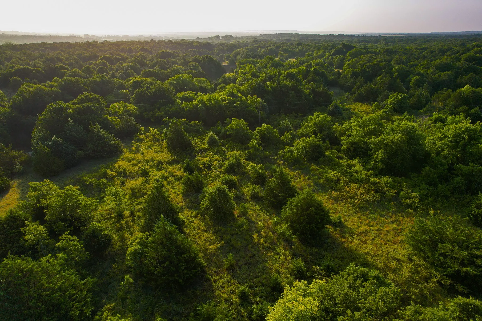 Unimproved Land For Sale in Montague County , 0000 Dye Mound Rd, Forestburg, Texas 76239, 0, 0, Garage spaces, 0 Sqft, built in 0, Price $1,260,000, mls#21179915, Real Estate Agent in Forestburg, Homes For Sale in Montague county, Homes For Sale in Forestburg, Realtor in Forestburg Texas, Real Estate Brokerage Independent Realty Texas, Luminita Cordes Realtor