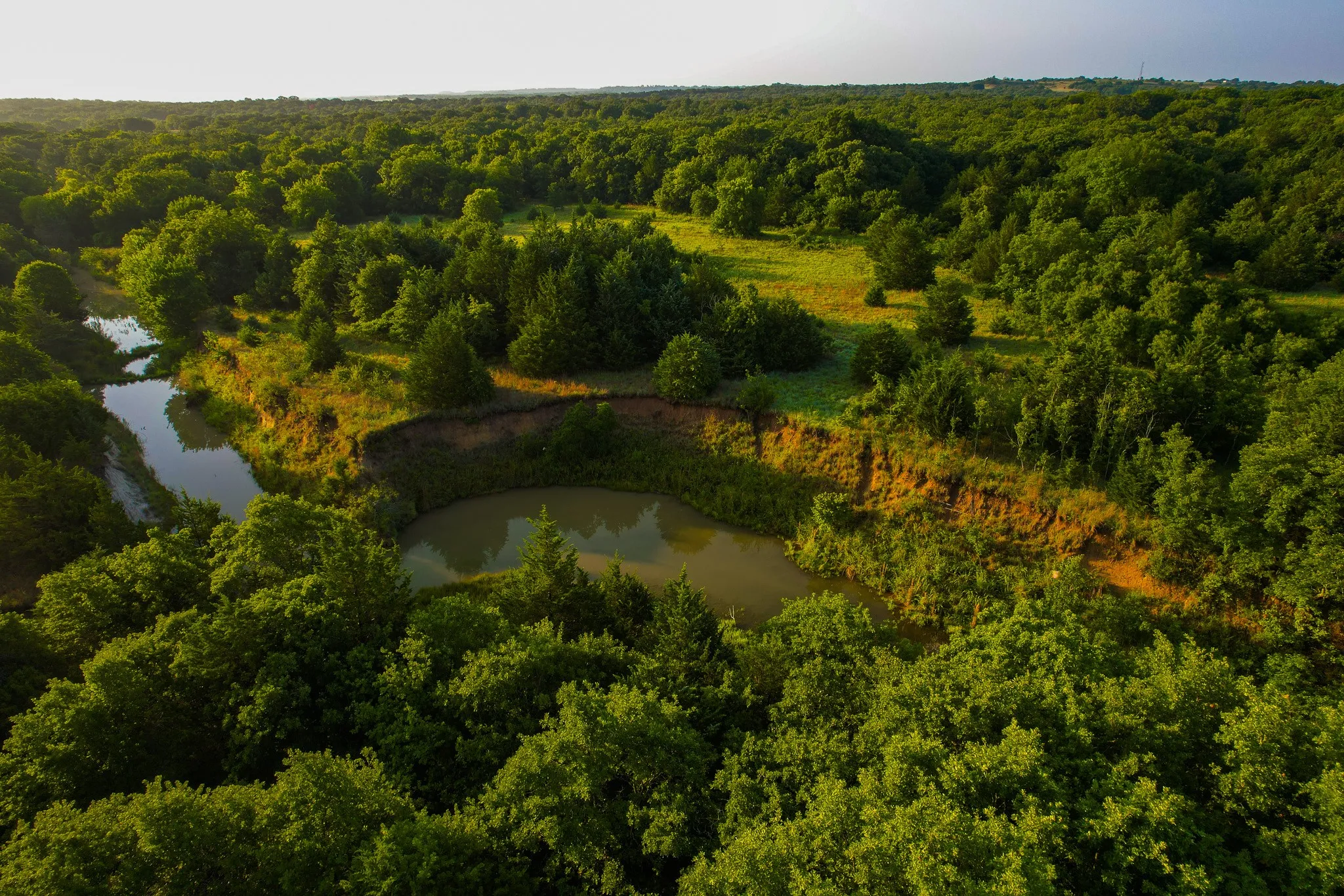 Unimproved Land For Sale in Montague County , 0000 Dye Mound Rd, Forestburg, Texas 76239, 0, 0, Garage spaces, 0 Sqft, built in 0, Price $1,260,000, mls#21179915, Real Estate Agent in Forestburg, Homes For Sale in Montague county, Homes For Sale in Forestburg, Realtor in Forestburg Texas, Real Estate Brokerage Independent Realty Texas, Luminita Cordes Realtor