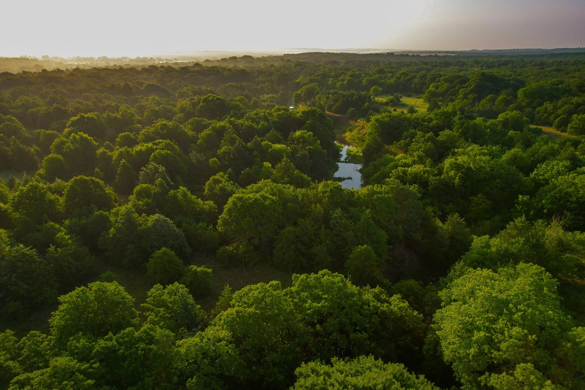 Unimproved Land For Sale in Montague County , 0000 Dye Mound Rd, Forestburg, Texas 76239, 0, 0, Garage spaces, 0 Sqft, built in 0, Price $1,260,000, mls#21179915, Real Estate Agent in Forestburg, Homes For Sale in Montague county, Homes For Sale in Forestburg, Realtor in Forestburg Texas, Real Estate Brokerage Independent Realty Texas, Luminita Cordes Realtor