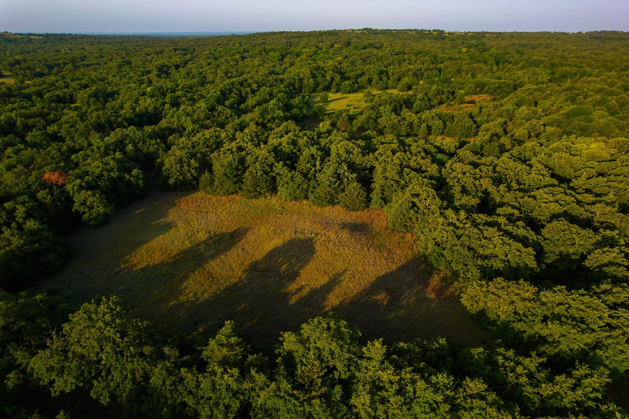 Unimproved Land For Sale in Montague County , 0000 Dye Mound Rd, Forestburg, Texas 76239, 0, 0, Garage spaces, 0 Sqft, built in 0, Price $1,260,000, mls#21179915, Real Estate Agent in Forestburg, Homes For Sale in Montague county, Homes For Sale in Forestburg, Realtor in Forestburg Texas, Real Estate Brokerage Independent Realty Texas, Luminita Cordes Realtor