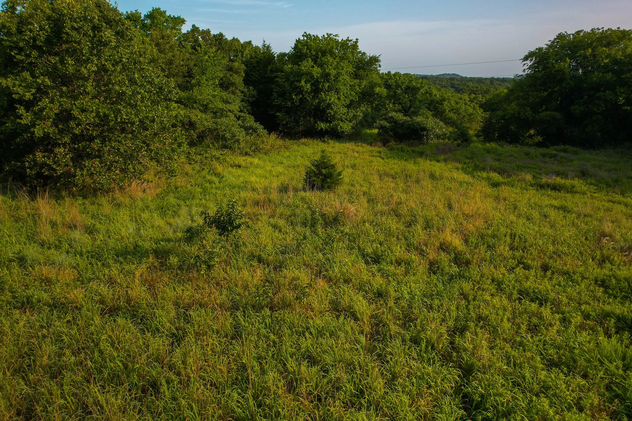 Unimproved Land For Sale in Montague County , 0000 Dye Mound Rd, Forestburg, Texas 76239, 0, 0, Garage spaces, 0 Sqft, built in 0, Price $1,260,000, mls#21179915, Real Estate Agent in Forestburg, Homes For Sale in Montague county, Homes For Sale in Forestburg, Realtor in Forestburg Texas, Real Estate Brokerage Independent Realty Texas, Luminita Cordes Realtor
