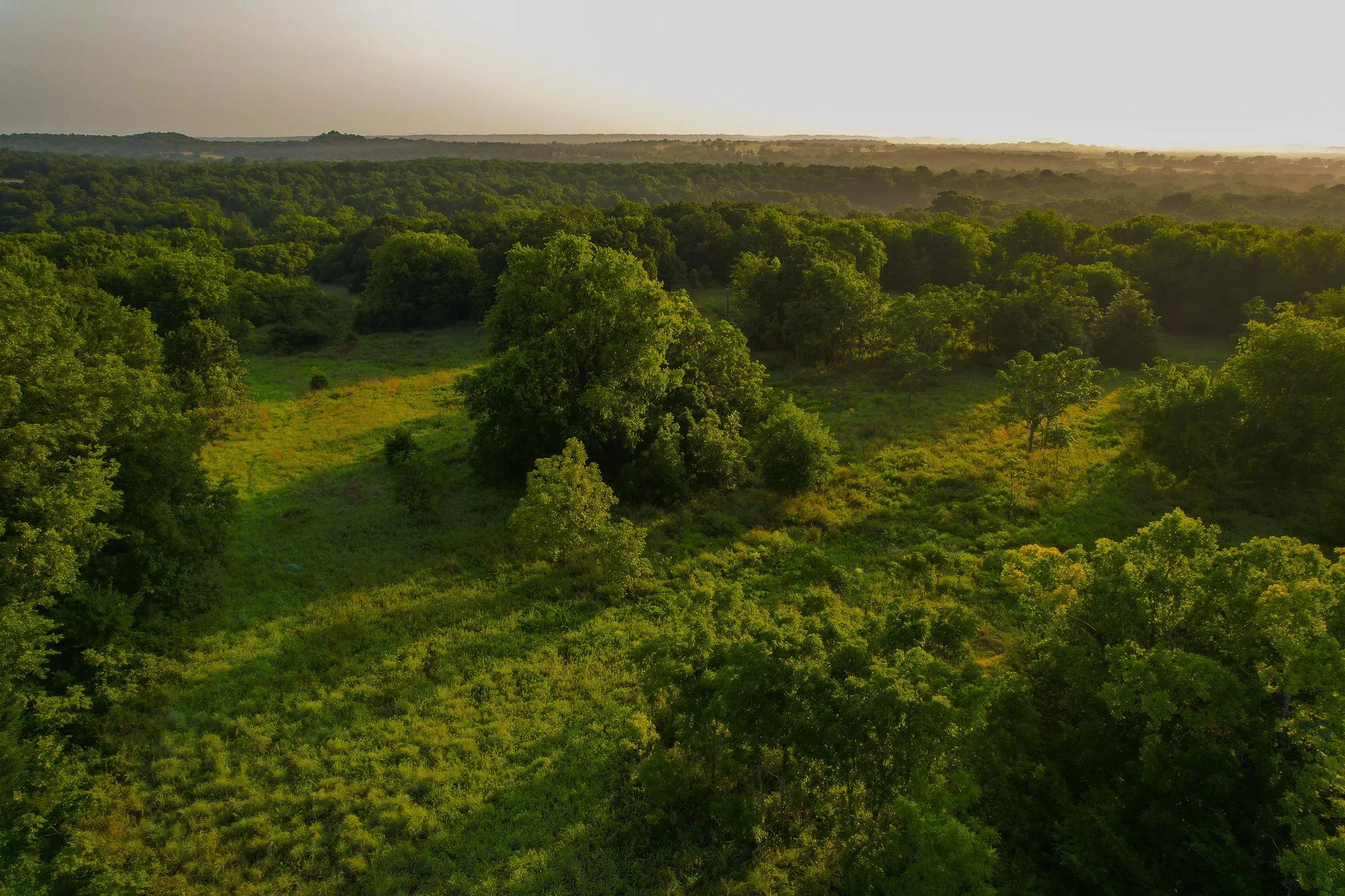 Unimproved Land For Sale in Montague County , 0000 Dye Mound Rd, Forestburg, Texas 76239, 0, 0, Garage spaces, 0 Sqft, built in 0, Price $1,260,000, mls#21179915, Real Estate Agent in Forestburg, Homes For Sale in Montague county, Homes For Sale in Forestburg, Realtor in Forestburg Texas, Real Estate Brokerage Independent Realty Texas, Luminita Cordes Realtor