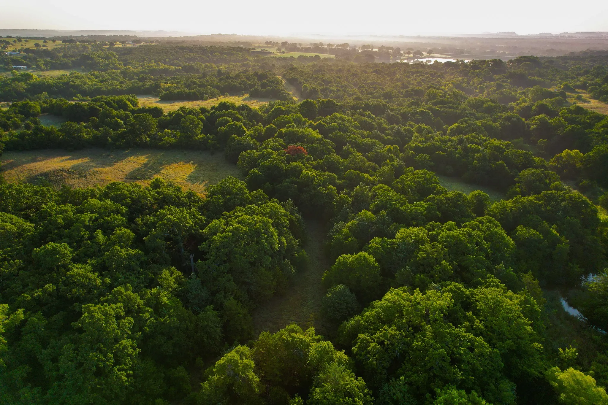 Unimproved Land For Sale in Montague County , 0000 Dye Mound Rd, Forestburg, Texas 76239, 0, 0, Garage spaces, 0 Sqft, built in 0, Price $1,260,000, mls#21179915, Real Estate Agent in Forestburg, Homes For Sale in Montague county, Homes For Sale in Forestburg, Realtor in Forestburg Texas, Real Estate Brokerage Independent Realty Texas, Luminita Cordes Realtor