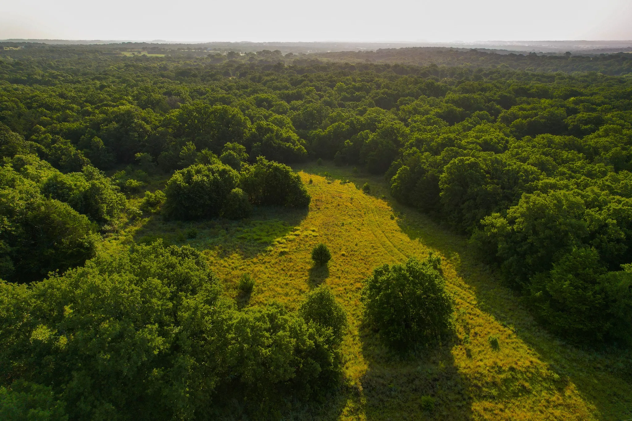 Unimproved Land For Sale in Montague County , 0000 Dye Mound Rd, Forestburg, Texas 76239, 0, 0, Garage spaces, 0 Sqft, built in 0, Price $1,260,000, mls#21179915, Real Estate Agent in Forestburg, Homes For Sale in Montague county, Homes For Sale in Forestburg, Realtor in Forestburg Texas, Real Estate Brokerage Independent Realty Texas, Luminita Cordes Realtor
