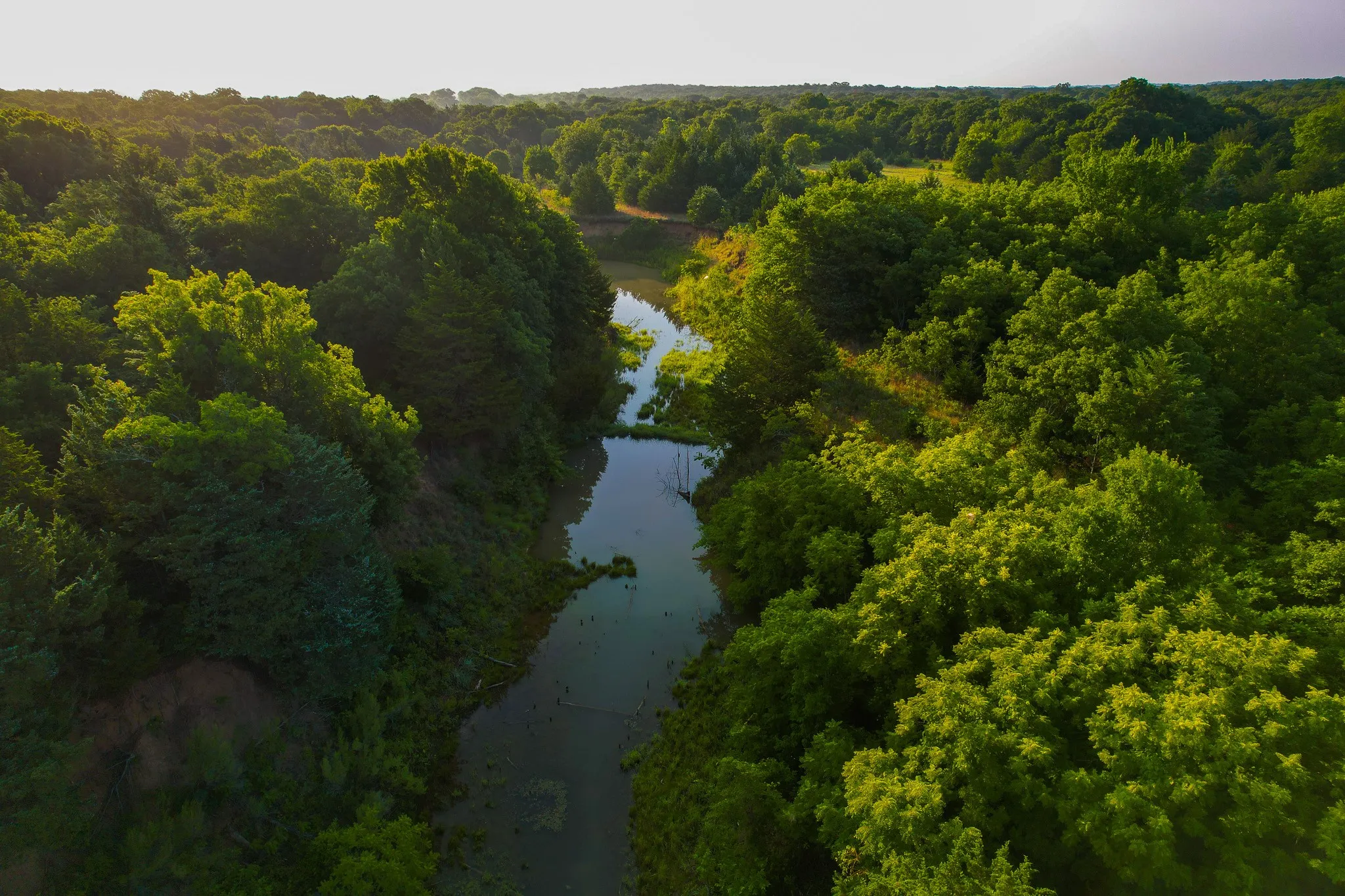 Unimproved Land For Sale in Montague County , 0000 Dye Mound Rd, Forestburg, Texas 76239, 0, 0, Garage spaces, 0 Sqft, built in 0, Price $1,260,000, mls#21179915, Real Estate Agent in Forestburg, Homes For Sale in Montague county, Homes For Sale in Forestburg, Realtor in Forestburg Texas, Real Estate Brokerage Independent Realty Texas, Luminita Cordes Realtor