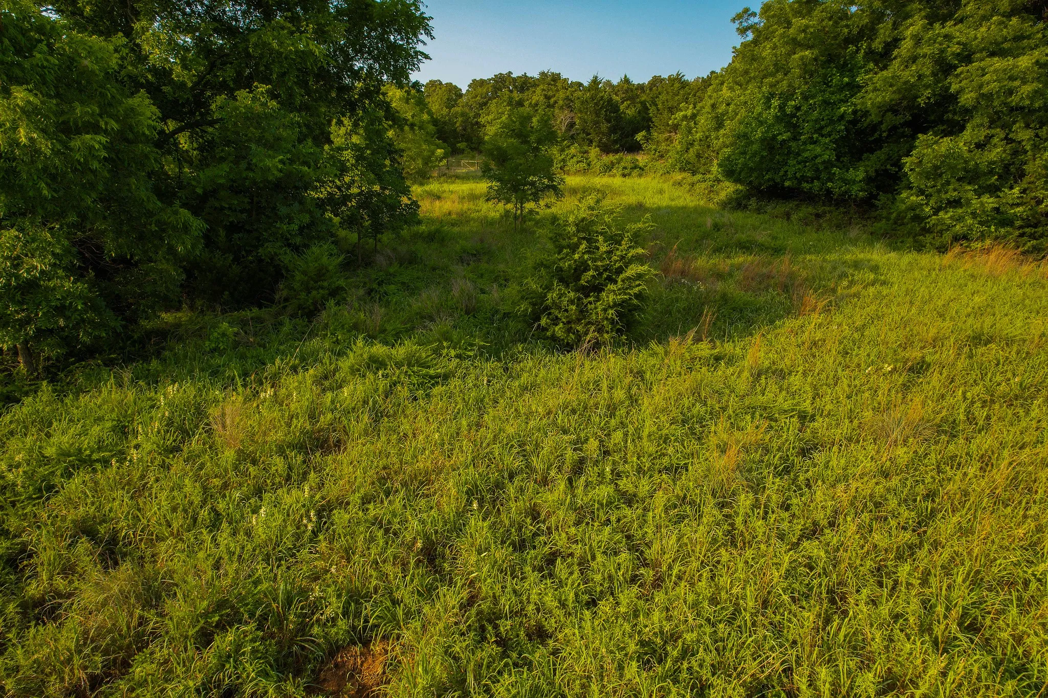 Unimproved Land For Sale in Montague County , 0000 Dye Mound Rd, Forestburg, Texas 76239, 0, 0, Garage spaces, 0 Sqft, built in 0, Price $1,260,000, mls#21179915, Real Estate Agent in Forestburg, Homes For Sale in Montague county, Homes For Sale in Forestburg, Realtor in Forestburg Texas, Real Estate Brokerage Independent Realty Texas, Luminita Cordes Realtor