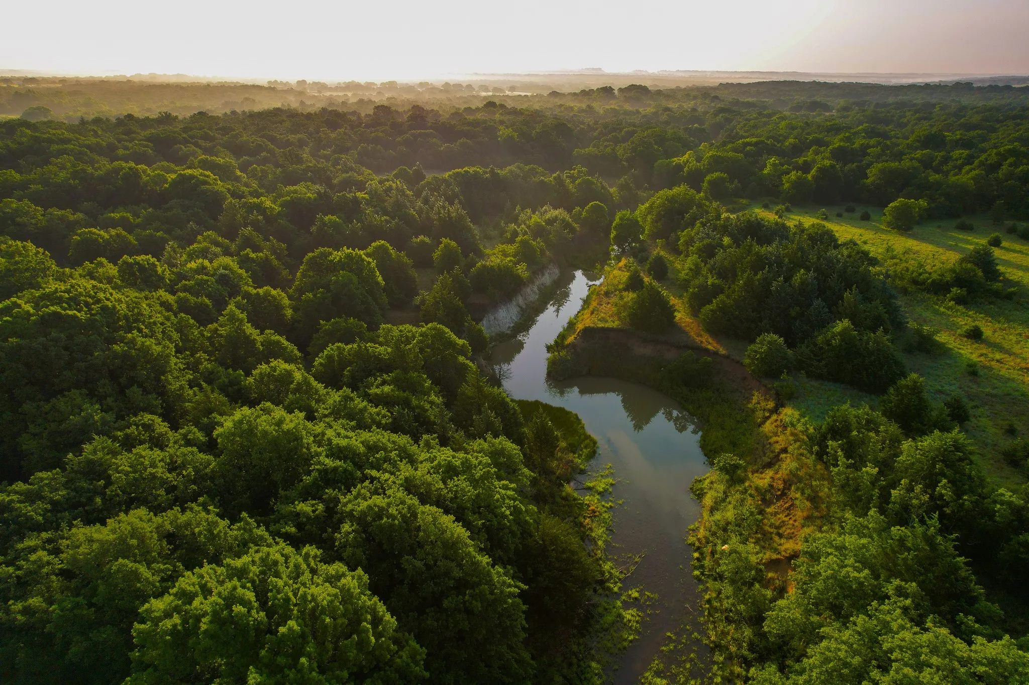 Unimproved Land For Sale in Montague County , 0000 Dye Mound Rd, Forestburg, Texas 76239, 0, 0, Garage spaces, 0 Sqft, built in 0, Price $1,260,000, mls#21179915, Real Estate Agent in Forestburg, Homes For Sale in Montague county, Homes For Sale in Forestburg, Realtor in Forestburg Texas, Real Estate Brokerage Independent Realty Texas, Luminita Cordes Realtor