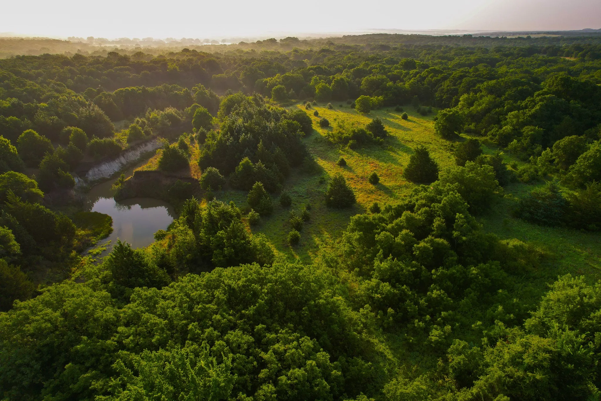 Unimproved Land For Sale in Montague County , 0000 Dye Mound Rd, Forestburg, Texas 76239, 0, 0, Garage spaces, 0 Sqft, built in 0, Price $1,260,000, mls#21179915, Real Estate Agent in Forestburg, Homes For Sale in Montague county, Homes For Sale in Forestburg, Realtor in Forestburg Texas, Real Estate Brokerage Independent Realty Texas, Luminita Cordes Realtor