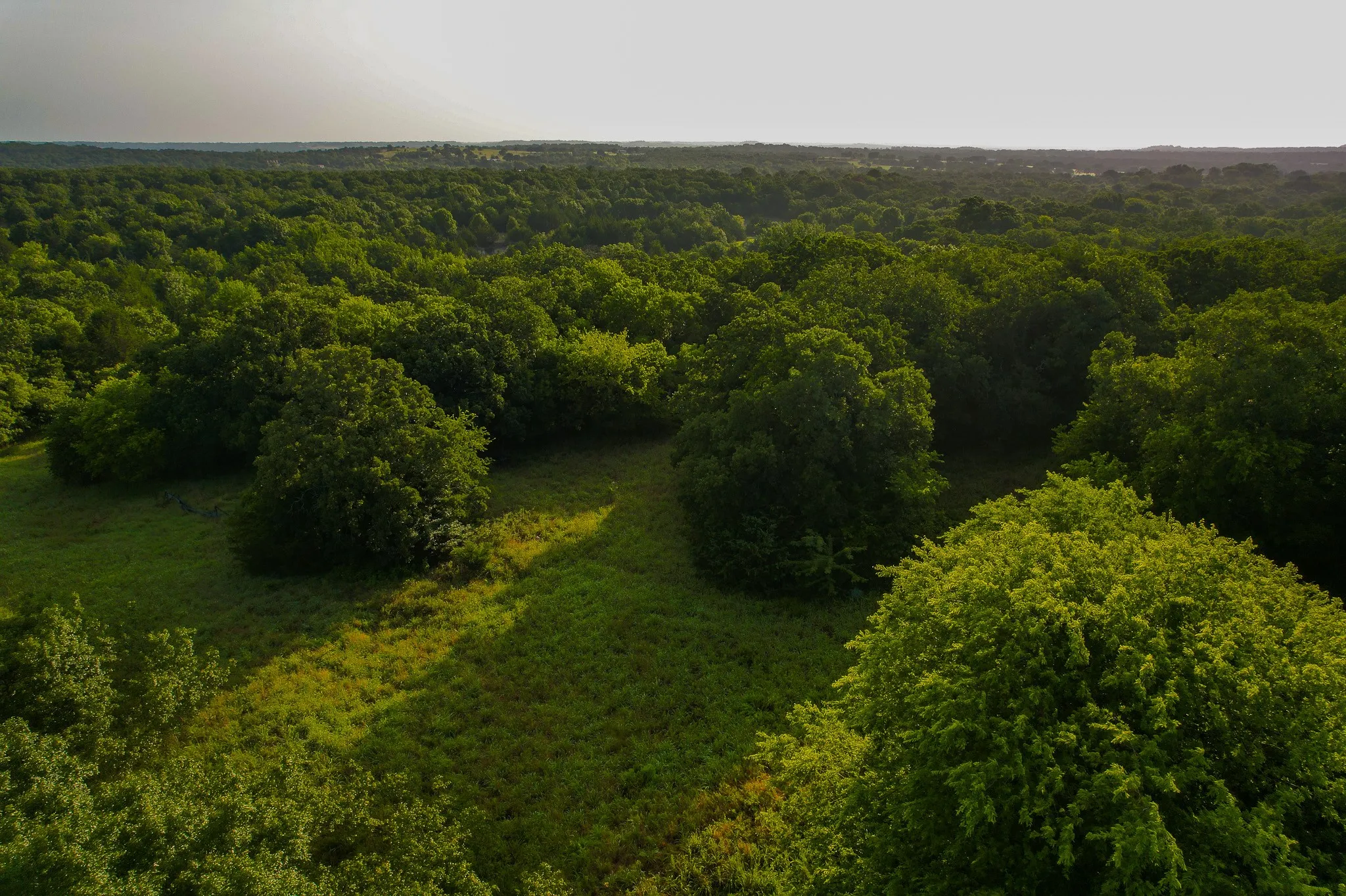Unimproved Land For Sale in Montague County , 0000 Dye Mound Rd, Forestburg, Texas 76239, 0, 0, Garage spaces, 0 Sqft, built in 0, Price $1,260,000, mls#21179915, Real Estate Agent in Forestburg, Homes For Sale in Montague county, Homes For Sale in Forestburg, Realtor in Forestburg Texas, Real Estate Brokerage Independent Realty Texas, Luminita Cordes Realtor