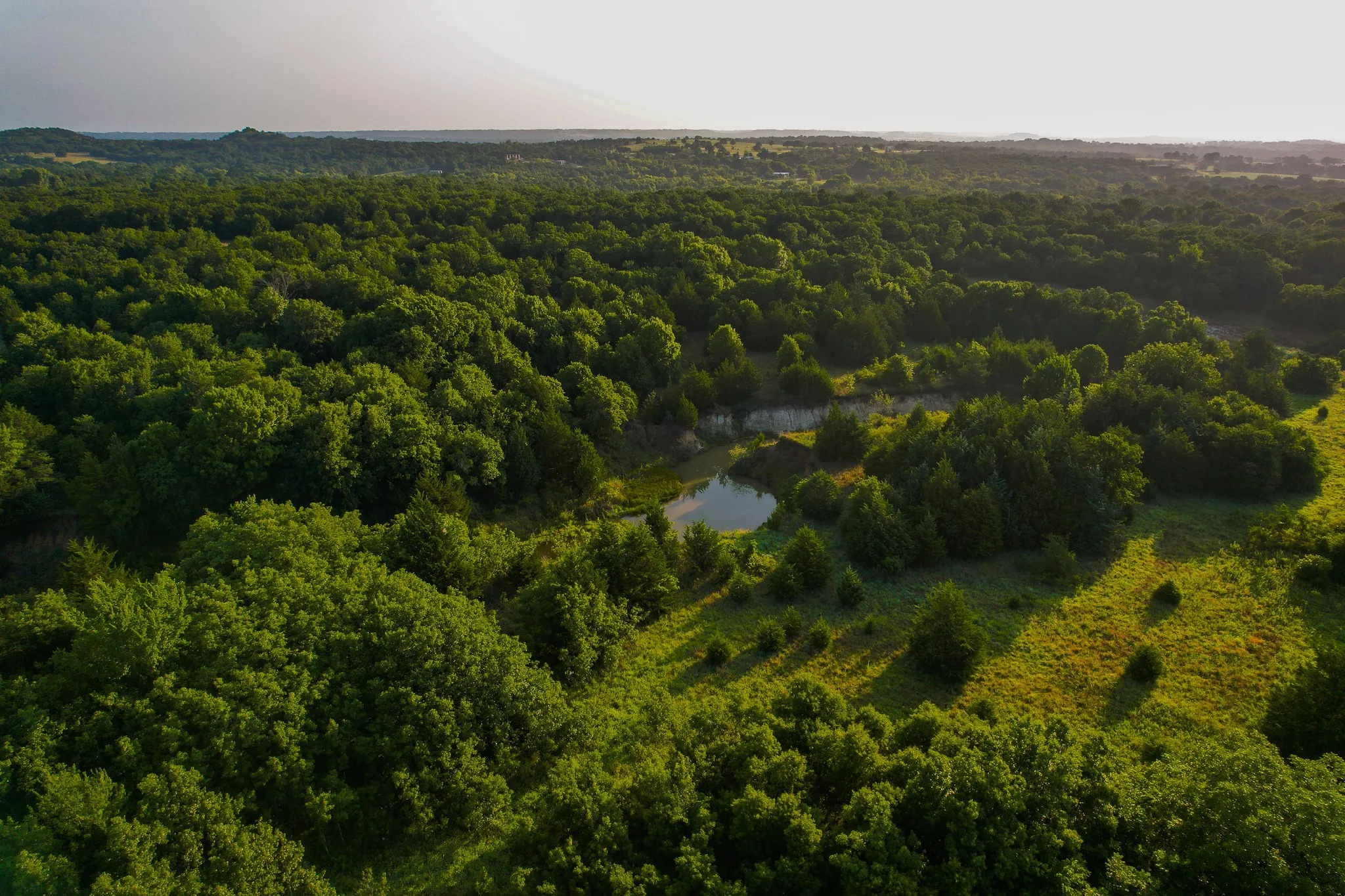 Unimproved Land For Sale in Montague County , 0000 Dye Mound Rd, Forestburg, Texas 76239, 0, 0, Garage spaces, 0 Sqft, built in 0, Price $1,260,000, mls#21179915, Real Estate Agent in Forestburg, Homes For Sale in Montague county, Homes For Sale in Forestburg, Realtor in Forestburg Texas, Real Estate Brokerage Independent Realty Texas, Luminita Cordes Realtor