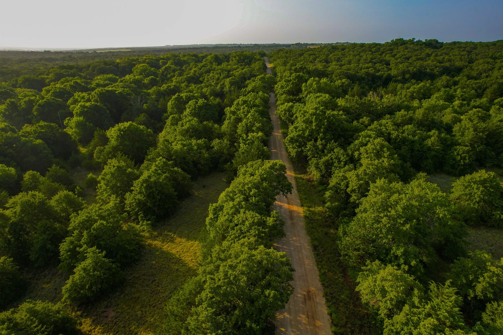 Unimproved Land For Sale in Montague County , 0000 Dye Mound Rd, Forestburg, Texas 76239, 0, 0, Garage spaces, 0 Sqft, built in 0, Price $1,260,000, mls#21179915, Real Estate Agent in Forestburg, Homes For Sale in Montague county, Homes For Sale in Forestburg, Realtor in Forestburg Texas, Real Estate Brokerage Independent Realty Texas, Luminita Cordes Realtor