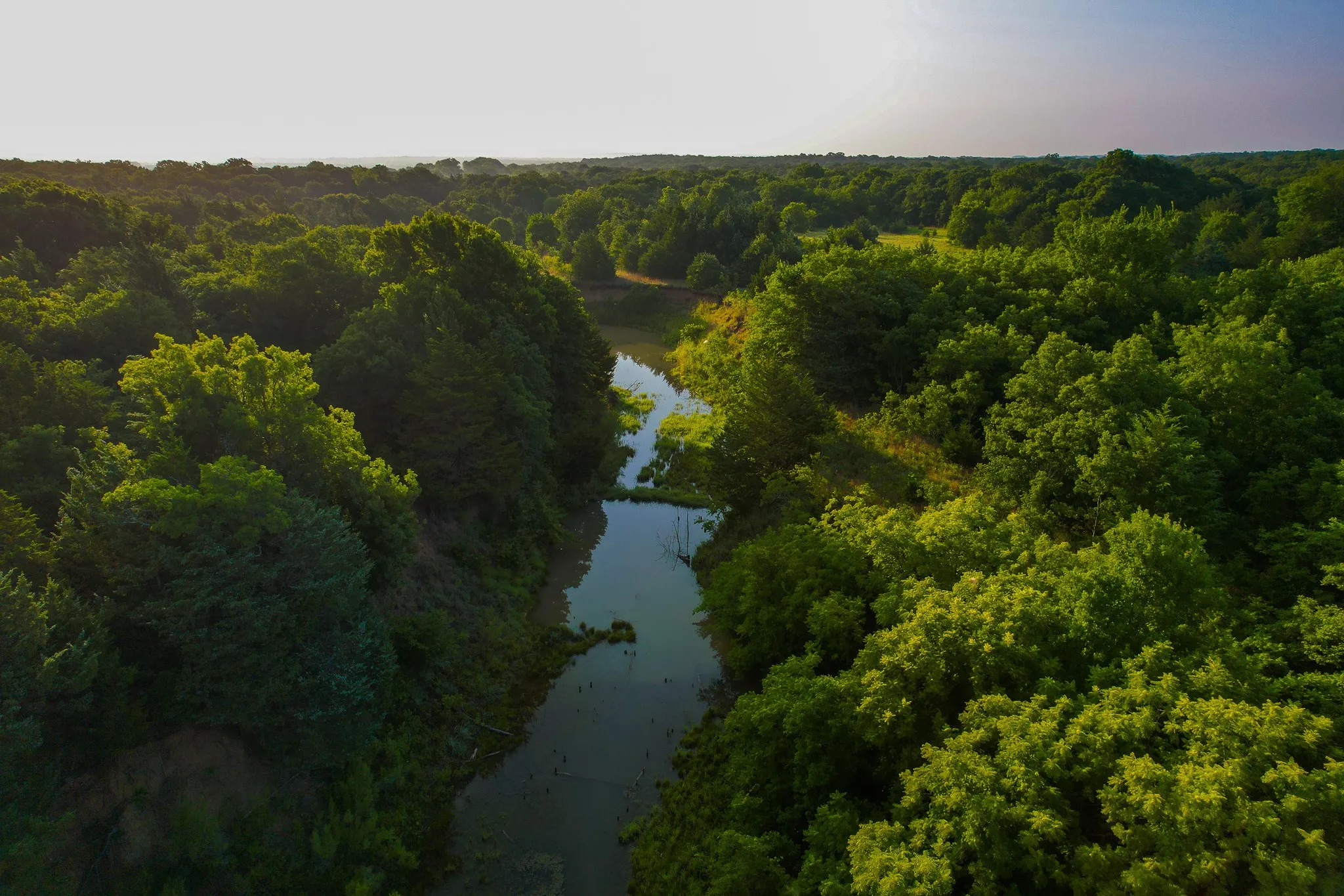 Unimproved Land For Sale in Montague County , 0000 Dye Mound Rd, Forestburg, Texas 76239, 0, 0, Garage spaces, 0 Sqft, built in 0, Price $1,260,000, mls#21179915, Real Estate Agent in Forestburg, Homes For Sale in Montague county, Homes For Sale in Forestburg, Realtor in Forestburg Texas, Real Estate Brokerage Independent Realty Texas, Luminita Cordes Realtor