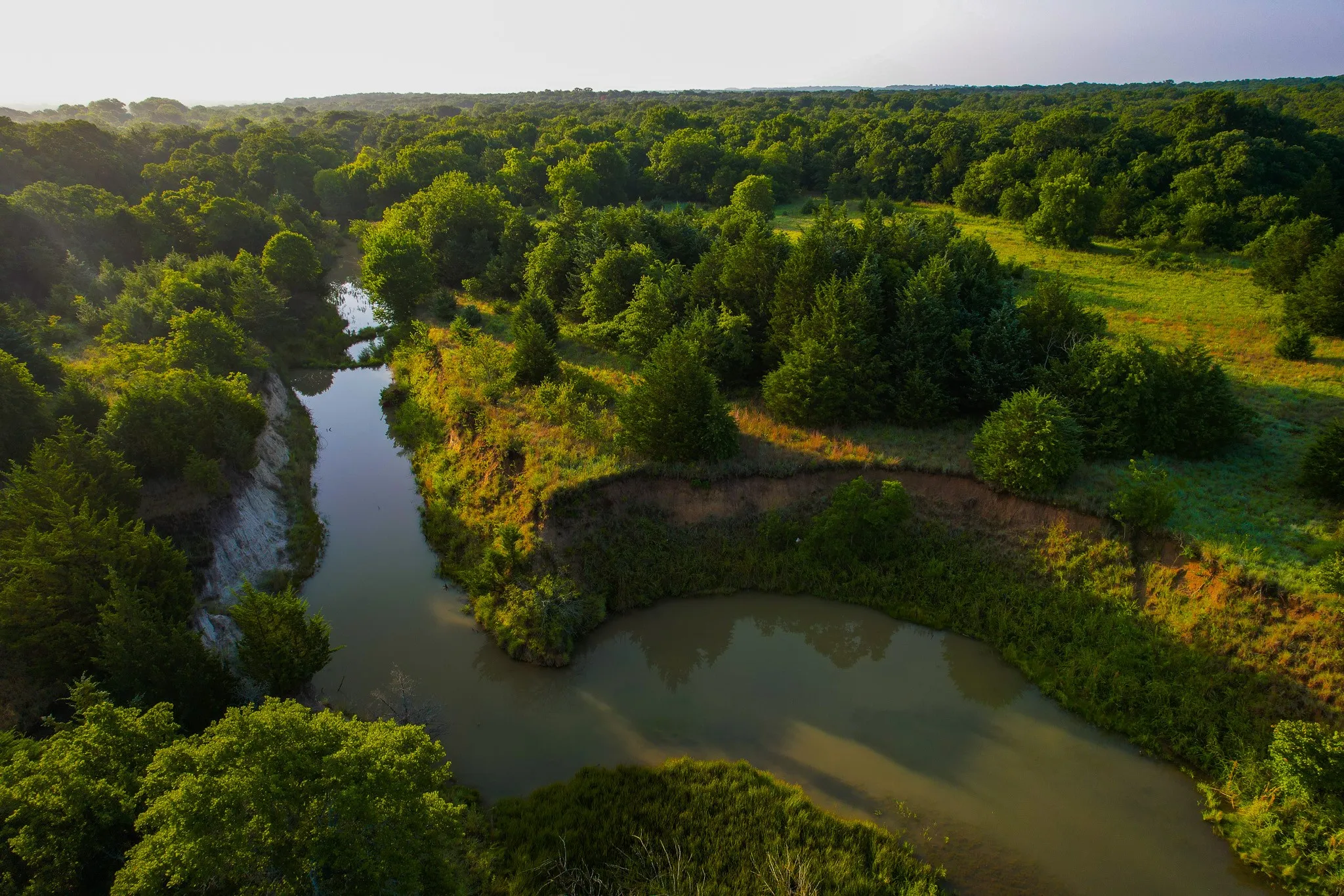 Unimproved Land For Sale in Montague County , 0000 Dye Mound Rd, Forestburg, Texas 76239, 0, 0, Garage spaces, 0 Sqft, built in 0, Price $1,260,000, mls#21179915, Real Estate Agent in Forestburg, Homes For Sale in Montague county, Homes For Sale in Forestburg, Realtor in Forestburg Texas, Real Estate Brokerage Independent Realty Texas, Luminita Cordes Realtor