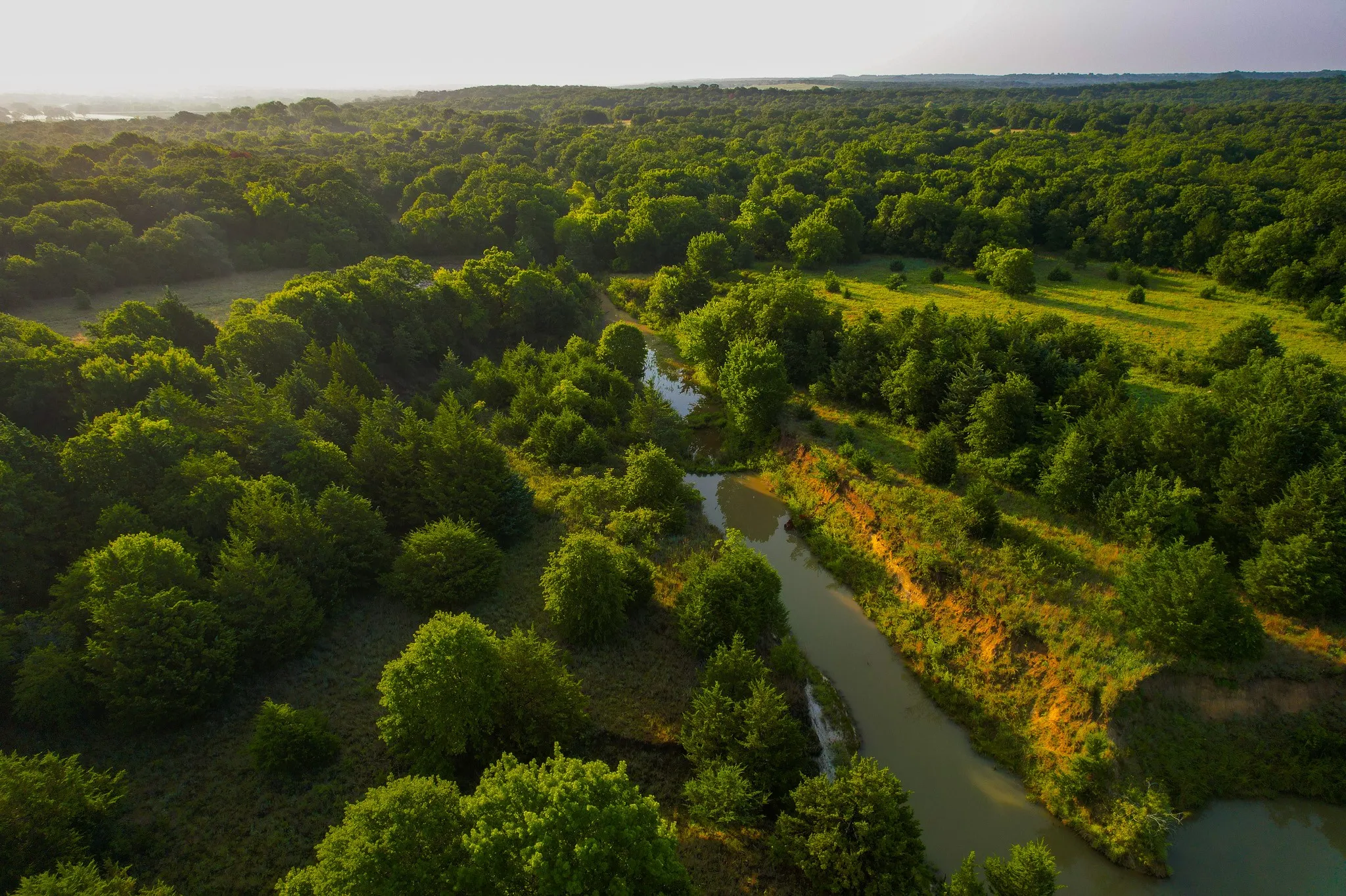 Unimproved Land For Sale in Montague County , 0000 Dye Mound Rd, Forestburg, Texas 76239, 0, 0, Garage spaces, 0 Sqft, built in 0, Price $1,260,000, mls#21179915, Real Estate Agent in Forestburg, Homes For Sale in Montague county, Homes For Sale in Forestburg, Realtor in Forestburg Texas, Real Estate Brokerage Independent Realty Texas, Luminita Cordes Realtor