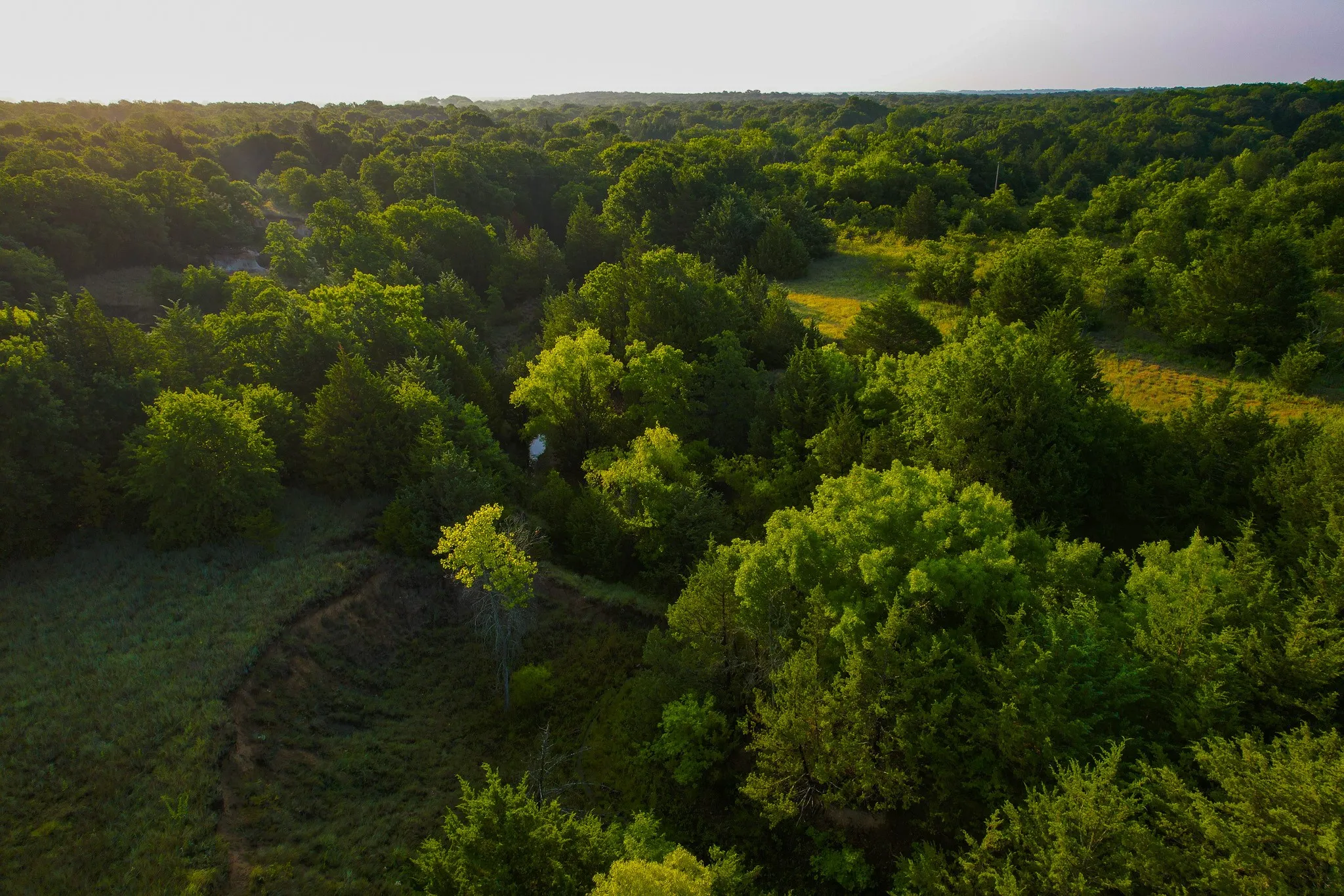 Unimproved Land For Sale in Montague County , 0000 Dye Mound Rd, Forestburg, Texas 76239, 0, 0, Garage spaces, 0 Sqft, built in 0, Price $1,260,000, mls#21179915, Real Estate Agent in Forestburg, Homes For Sale in Montague county, Homes For Sale in Forestburg, Realtor in Forestburg Texas, Real Estate Brokerage Independent Realty Texas, Luminita Cordes Realtor