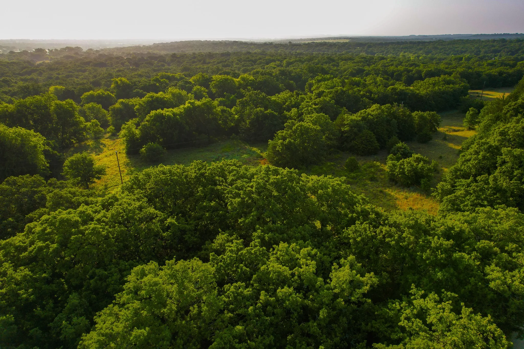 Unimproved Land For Sale in Montague County , 0000 Dye Mound Rd, Forestburg, Texas 76239, 0, 0, Garage spaces, 0 Sqft, built in 0, Price $1,260,000, mls#21179915, Real Estate Agent in Forestburg, Homes For Sale in Montague county, Homes For Sale in Forestburg, Realtor in Forestburg Texas, Real Estate Brokerage Independent Realty Texas, Luminita Cordes Realtor