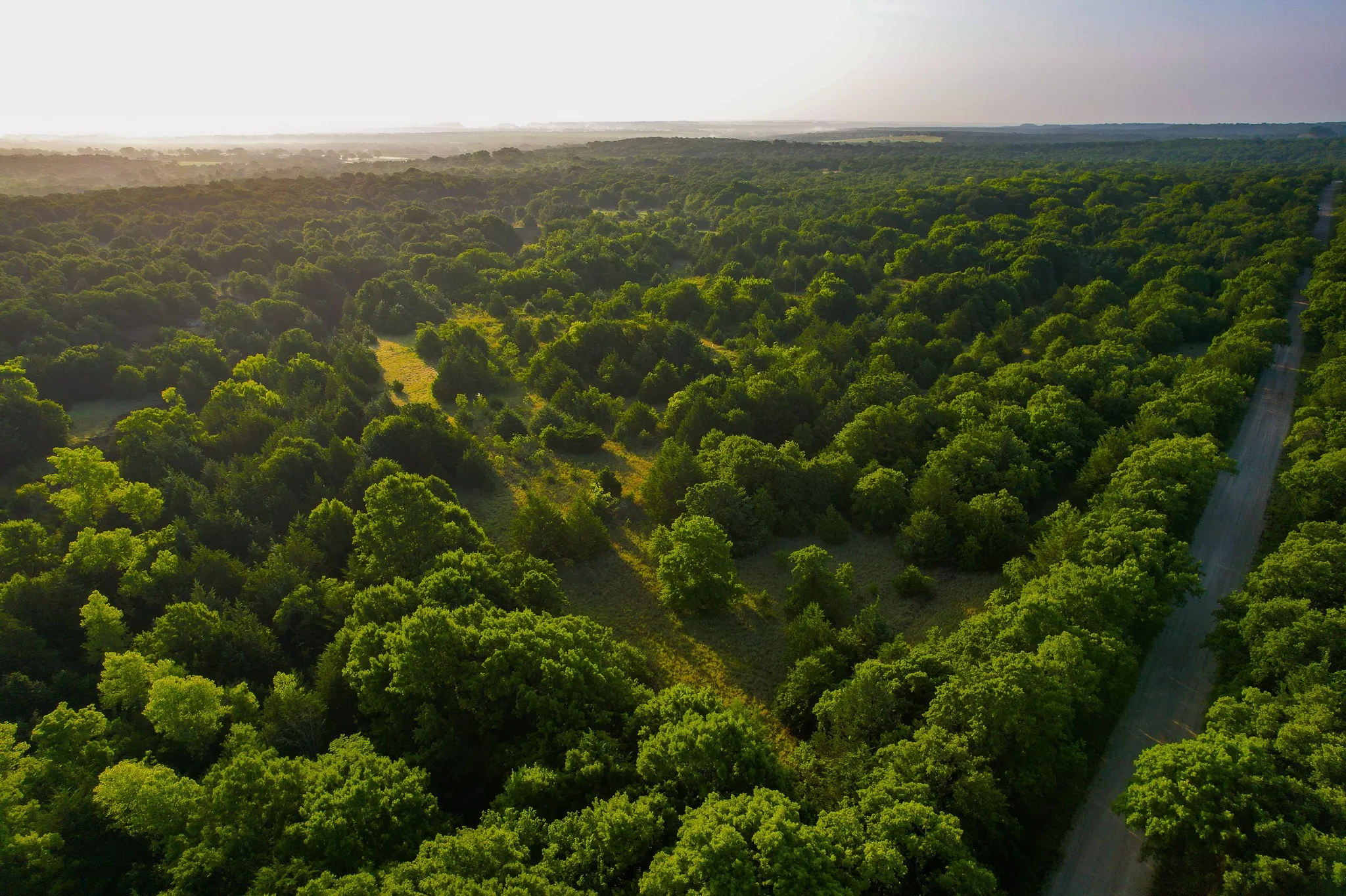 Unimproved Land For Sale in Montague County , 0000 Dye Mound Rd, Forestburg, Texas 76239, 0, 0, Garage spaces, 0 Sqft, built in 0, Price $1,260,000, mls#21179915, Real Estate Agent in Forestburg, Homes For Sale in Montague county, Homes For Sale in Forestburg, Realtor in Forestburg Texas, Real Estate Brokerage Independent Realty Texas, Luminita Cordes Realtor