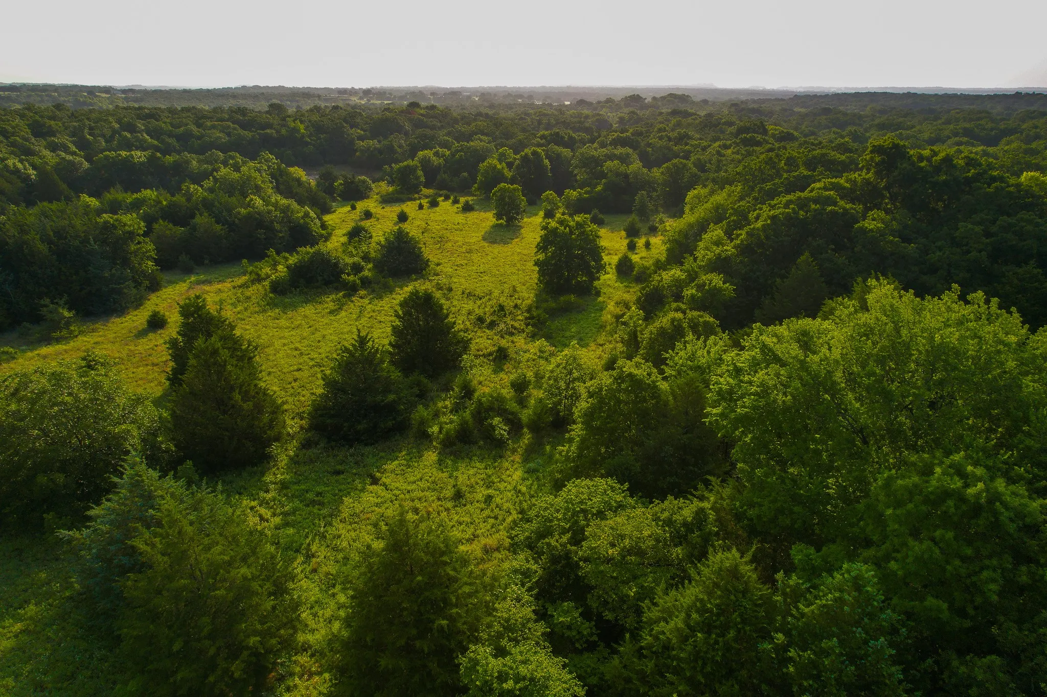 Unimproved Land For Sale in Montague County , 0000 Dye Mound Rd, Forestburg, Texas 76239, 0, 0, Garage spaces, 0 Sqft, built in 0, Price $1,260,000, mls#21179915, Real Estate Agent in Forestburg, Homes For Sale in Montague county, Homes For Sale in Forestburg, Realtor in Forestburg Texas, Real Estate Brokerage Independent Realty Texas, Luminita Cordes Realtor