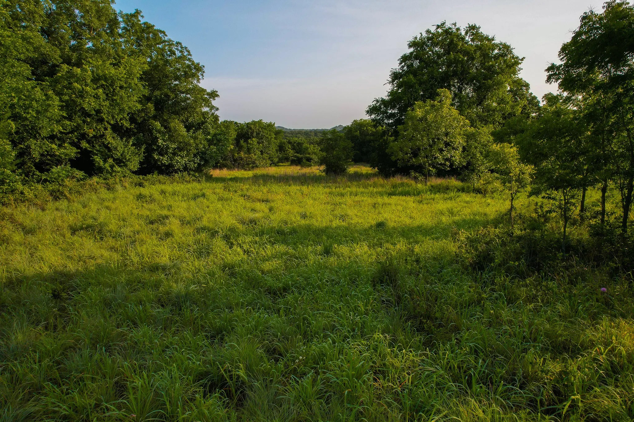 Unimproved Land For Sale in Montague County , 0000 Dye Mound Rd, Forestburg, Texas 76239, 0, 0, Garage spaces, 0 Sqft, built in 0, Price $1,260,000, mls#21179915, Real Estate Agent in Forestburg, Homes For Sale in Montague county, Homes For Sale in Forestburg, Realtor in Forestburg Texas, Real Estate Brokerage Independent Realty Texas, Luminita Cordes Realtor