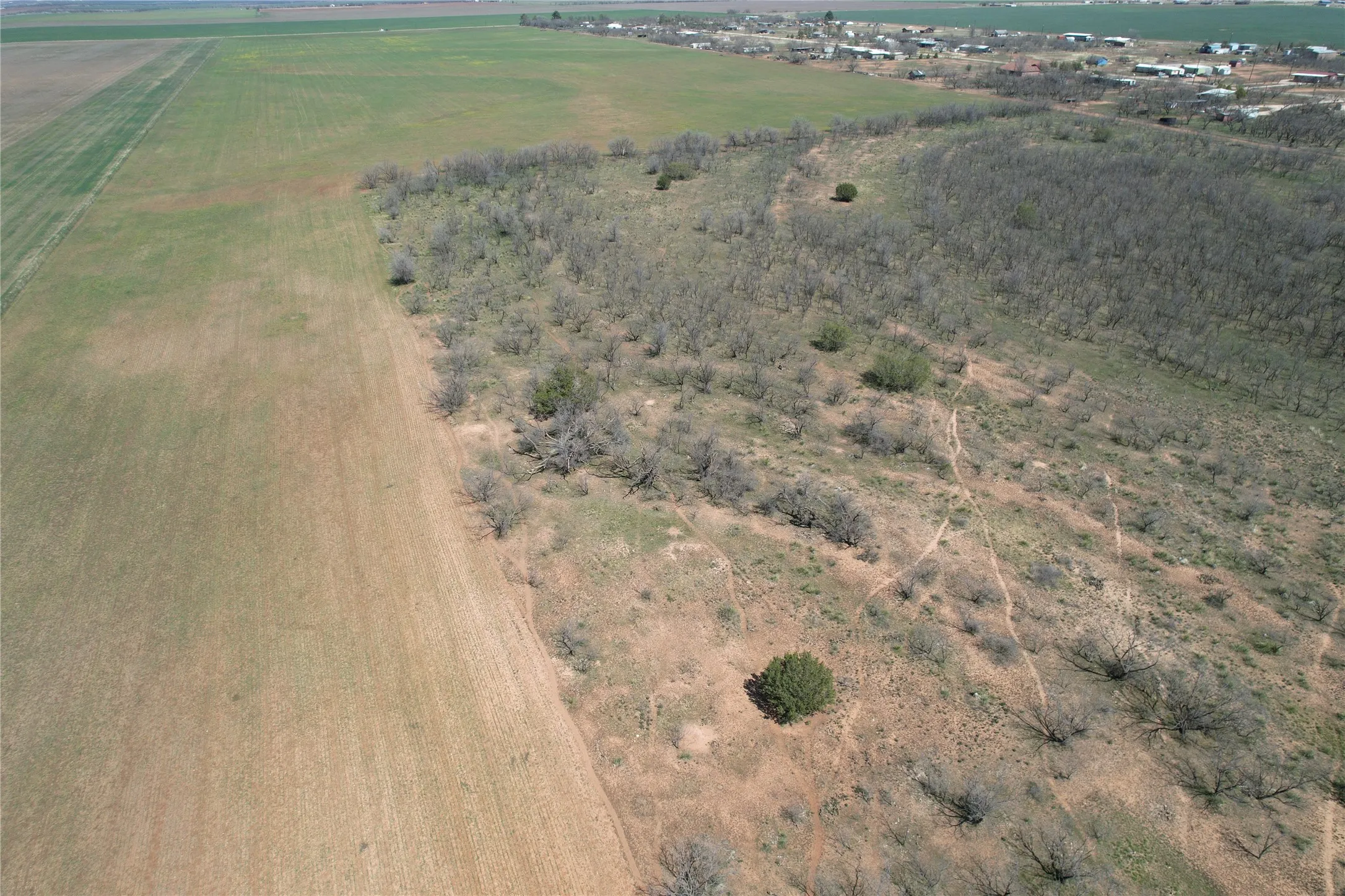 Ranch For Sale in Taylor County , TBD CR 409, Merkel, Texas 79536, 0, 0, Garage spaces, 0 Sqft, built in 0, mls#21179233, Real Estate Agent in Merkel, Homes For Sale in Taylor county, Homes For Sale in Merkel, Realtor in Merkel Texas, Real Estate Brokerage Independent Realty Texas, Luminita Cordes Realtor