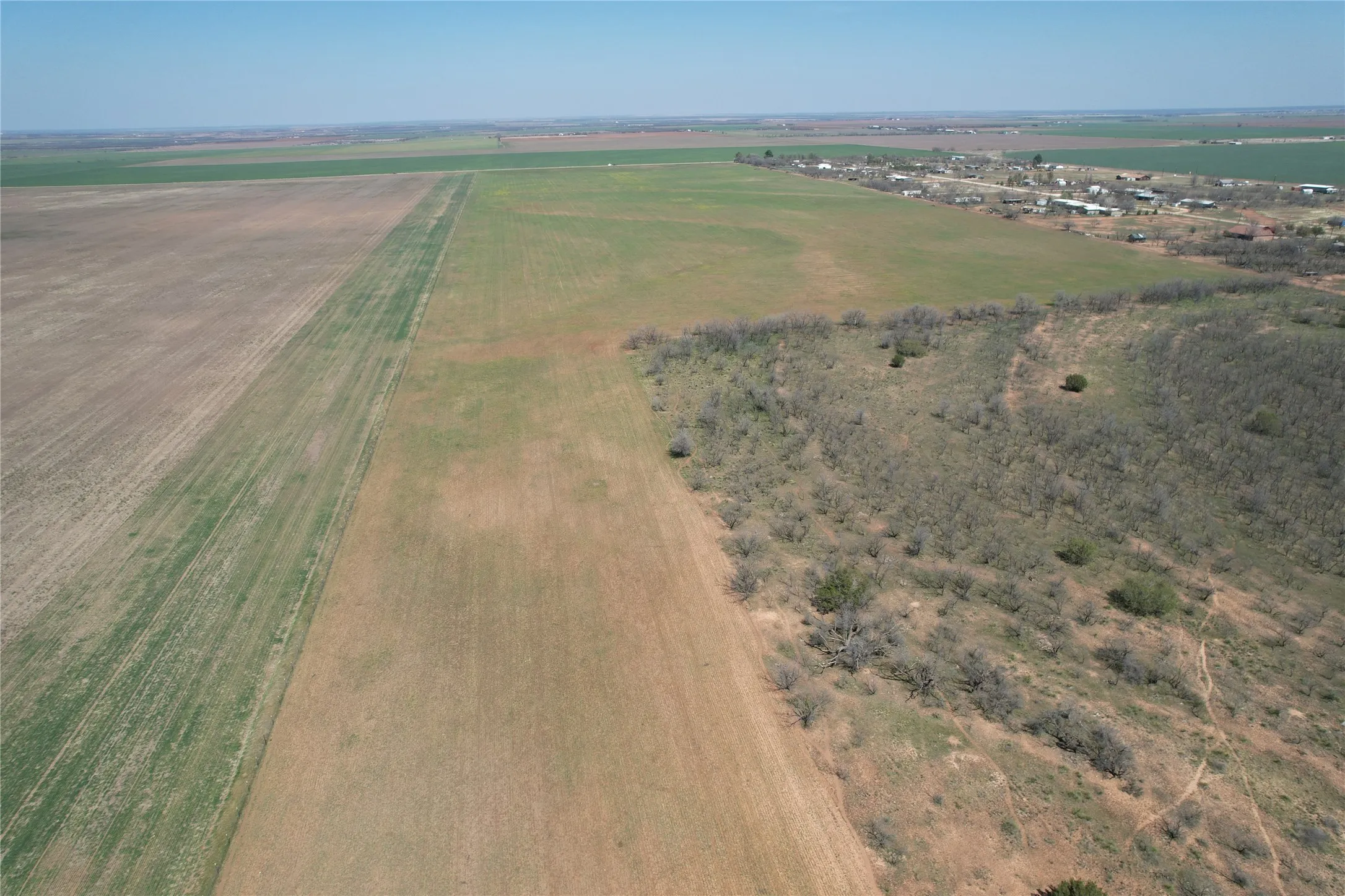 Ranch For Sale in Taylor County , TBD CR 409, Merkel, Texas 79536, 0, 0, Garage spaces, 0 Sqft, built in 0, mls#21179233, Real Estate Agent in Merkel, Homes For Sale in Taylor county, Homes For Sale in Merkel, Realtor in Merkel Texas, Real Estate Brokerage Independent Realty Texas, Luminita Cordes Realtor