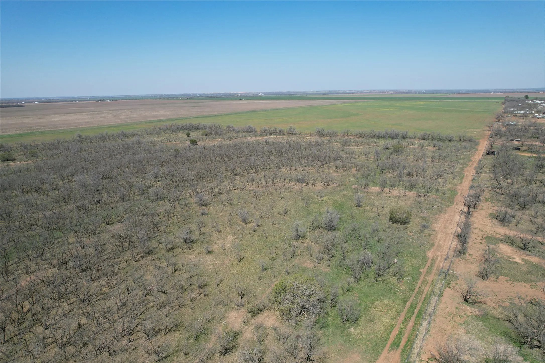 Ranch For Sale in Taylor County , TBD CR 409, Merkel, Texas 79536, 0, 0, Garage spaces, 0 Sqft, built in 0, mls#21179233, Real Estate Agent in Merkel, Homes For Sale in Taylor county, Homes For Sale in Merkel, Realtor in Merkel Texas, Real Estate Brokerage Independent Realty Texas, Luminita Cordes Realtor