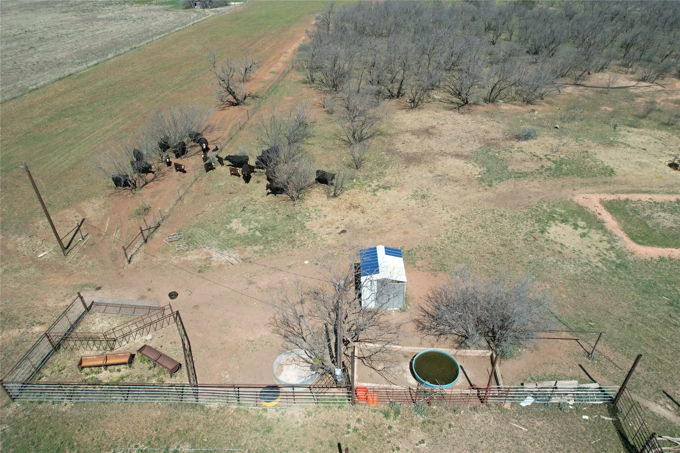 Ranch For Sale in Taylor County , TBD CR 409, Merkel, Texas 79536, 0, 0, Garage spaces, 0 Sqft, built in 0, mls#21179233, Real Estate Agent in Merkel, Homes For Sale in Taylor county, Homes For Sale in Merkel, Realtor in Merkel Texas, Real Estate Brokerage Independent Realty Texas, Luminita Cordes Realtor