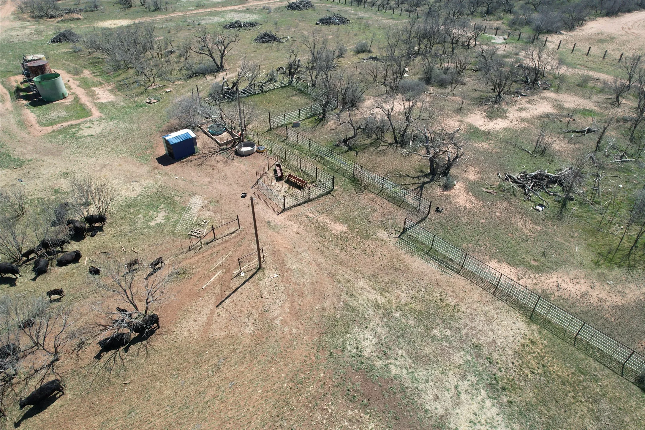 Ranch For Sale in Taylor County , TBD CR 409, Merkel, Texas 79536, 0, 0, Garage spaces, 0 Sqft, built in 0, mls#21179233, Real Estate Agent in Merkel, Homes For Sale in Taylor county, Homes For Sale in Merkel, Realtor in Merkel Texas, Real Estate Brokerage Independent Realty Texas, Luminita Cordes Realtor