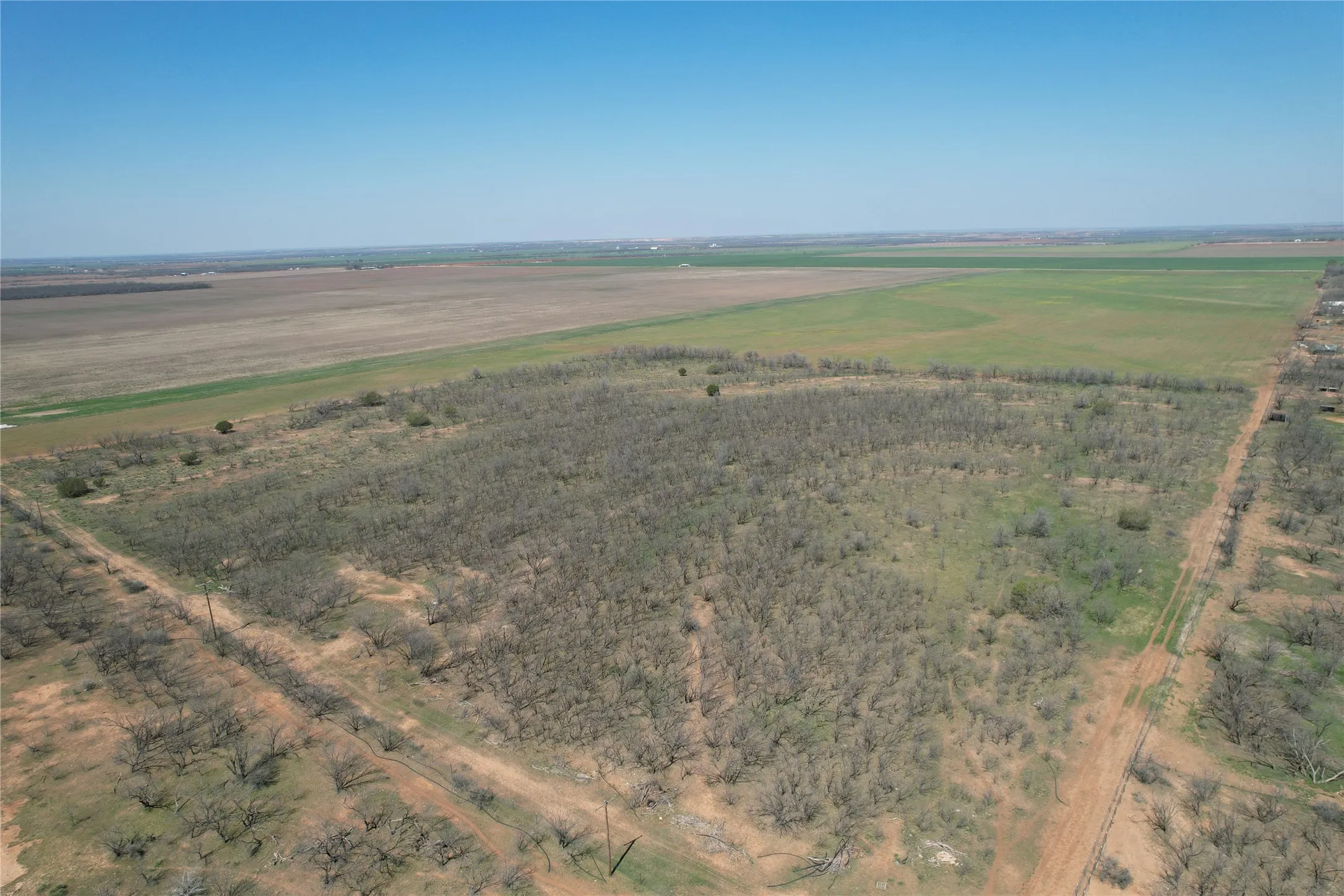 Ranch For Sale in Taylor County , TBD CR 409, Merkel, Texas 79536, 0, 0, Garage spaces, 0 Sqft, built in 0, mls#21179233, Real Estate Agent in Merkel, Homes For Sale in Taylor county, Homes For Sale in Merkel, Realtor in Merkel Texas, Real Estate Brokerage Independent Realty Texas, Luminita Cordes Realtor