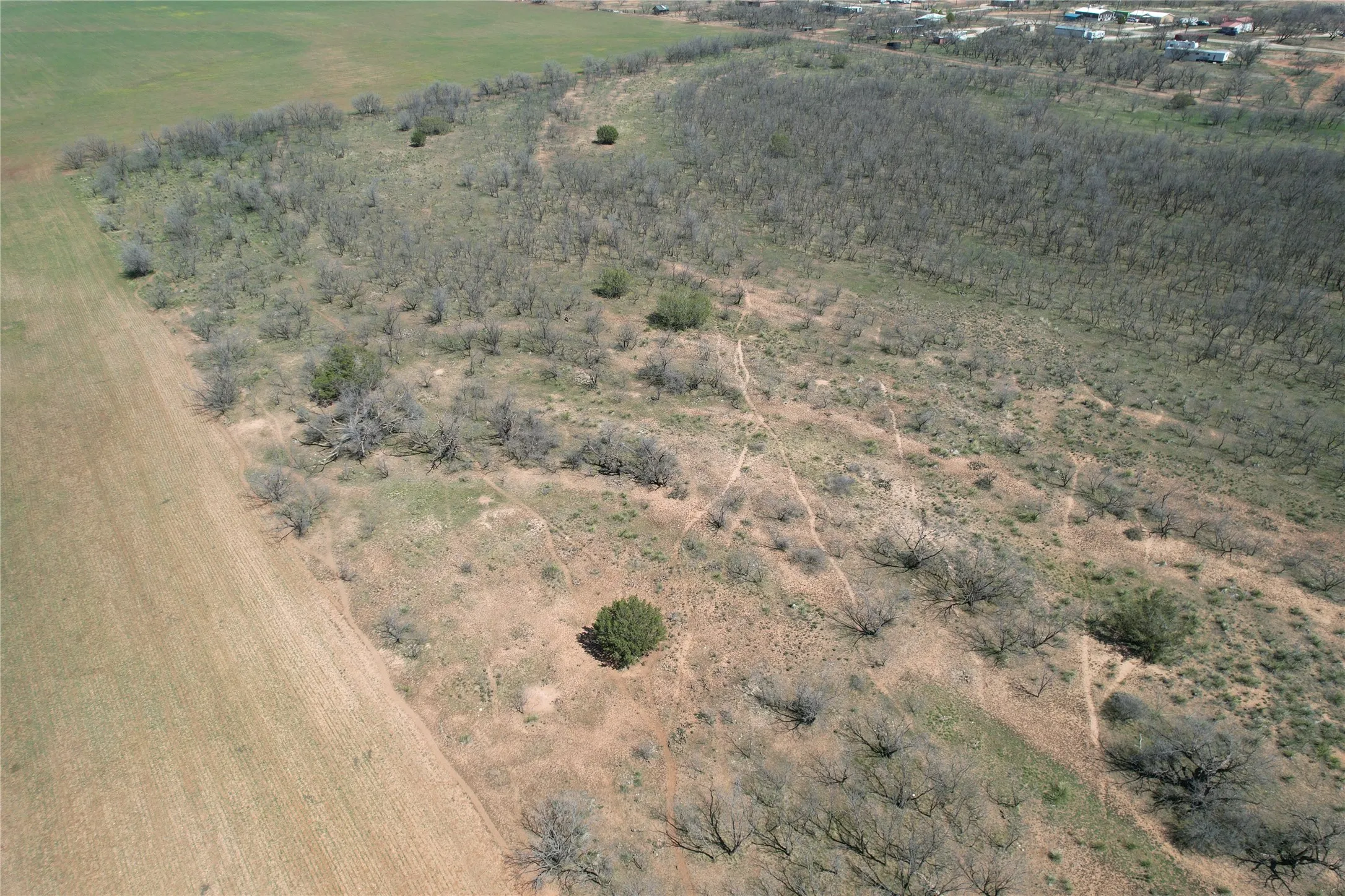 Ranch For Sale in Taylor County , TBD CR 409, Merkel, Texas 79536, 0, 0, Garage spaces, 0 Sqft, built in 0, mls#21179233, Real Estate Agent in Merkel, Homes For Sale in Taylor county, Homes For Sale in Merkel, Realtor in Merkel Texas, Real Estate Brokerage Independent Realty Texas, Luminita Cordes Realtor