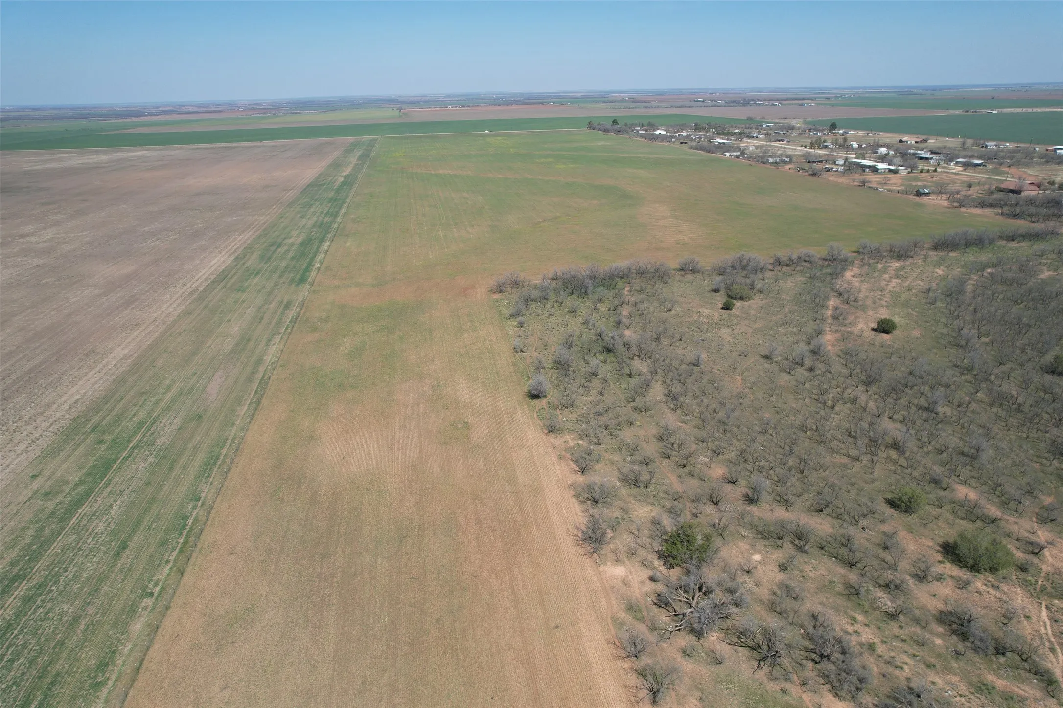 Ranch For Sale in Taylor County , TBD CR 409, Merkel, Texas 79536, 0, 0, Garage spaces, 0 Sqft, built in 0, mls#21179233, Real Estate Agent in Merkel, Homes For Sale in Taylor county, Homes For Sale in Merkel, Realtor in Merkel Texas, Real Estate Brokerage Independent Realty Texas, Luminita Cordes Realtor
