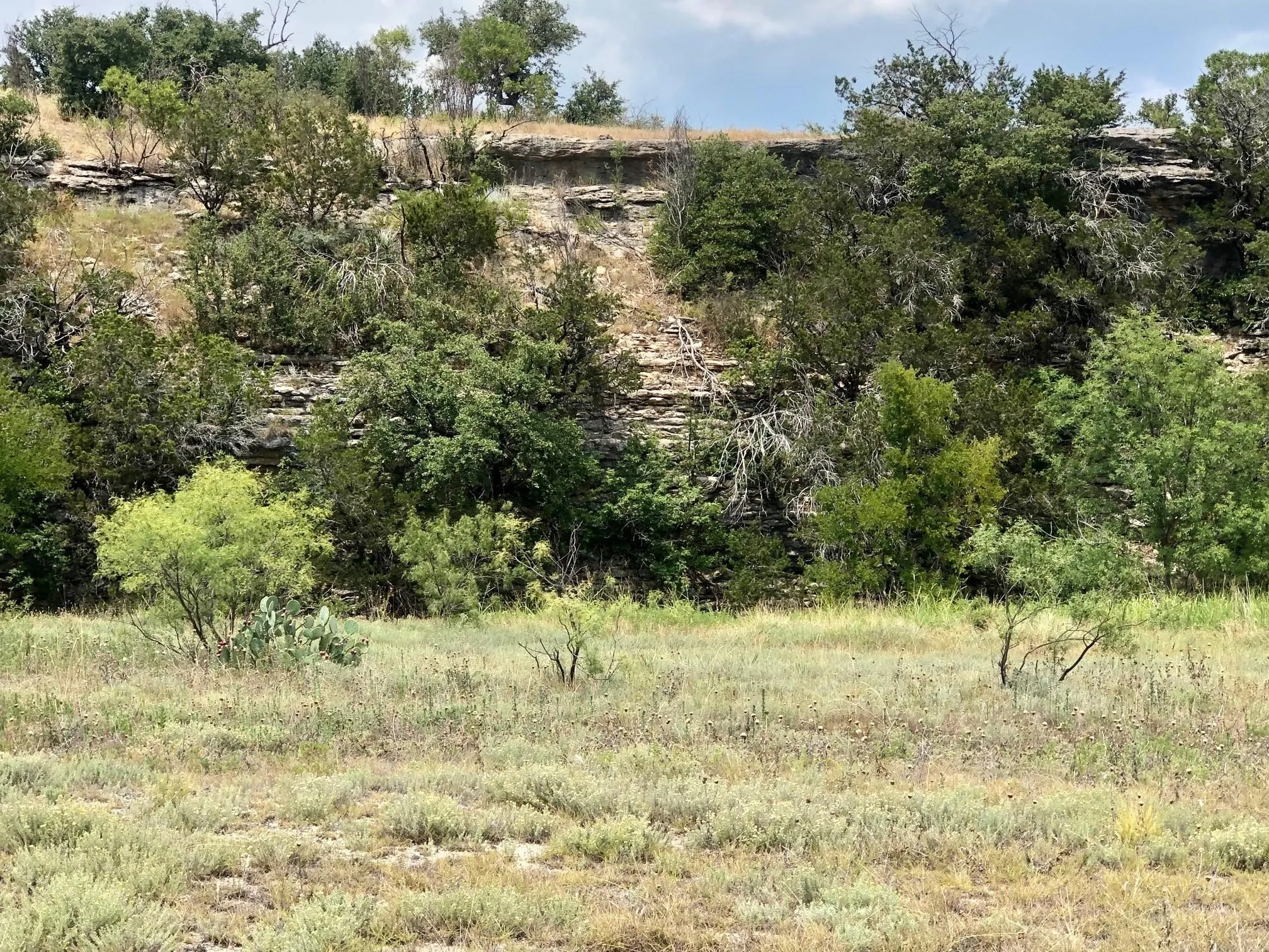 Unimproved Land For Sale in Palo Pinto County , Lot 54 Eastern Hills Drive, Graford, Texas 76449, 0, 0, Garage spaces, 0 Sqft, built in 0, mls#21180143, Real Estate Agent in Graford, Homes For Sale in Palo Pinto county, Homes For Sale in Graford, Realtor in Graford Texas, Real Estate Brokerage Independent Realty Texas, Luminita Cordes Realtor
