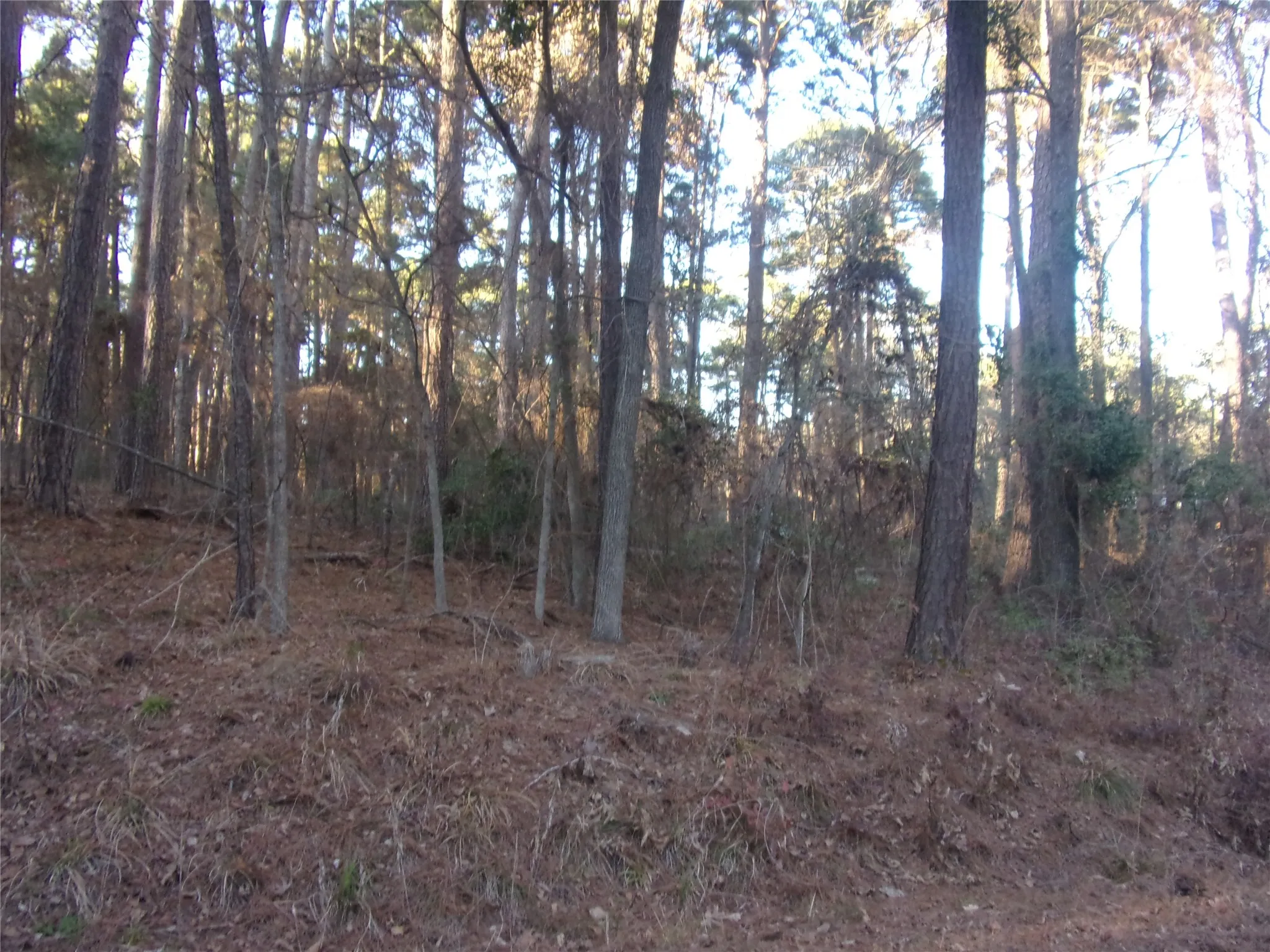 Unimproved Land For Sale in Smith County , tbd Lake Side Drive, Flint, Texas 75762, 0, 0, Garage spaces, 0 Sqft, built in 0, mls#21178483, Real Estate Agent in Flint, Homes For Sale in Smith county, Homes For Sale in Flint, Realtor in Flint Texas, Real Estate Brokerage Independent Realty Texas, Luminita Cordes Realtor