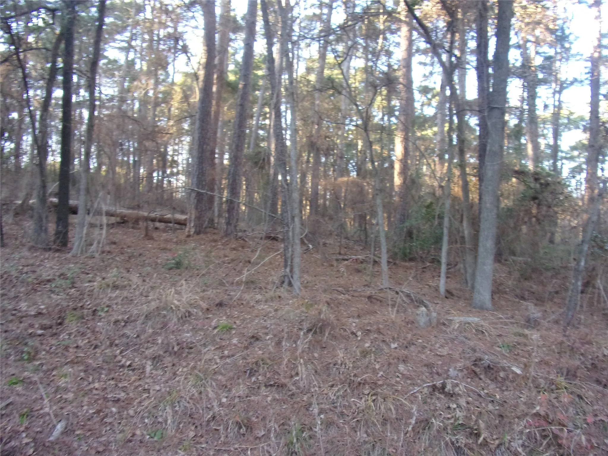 Lake community lots totaling .22 acres