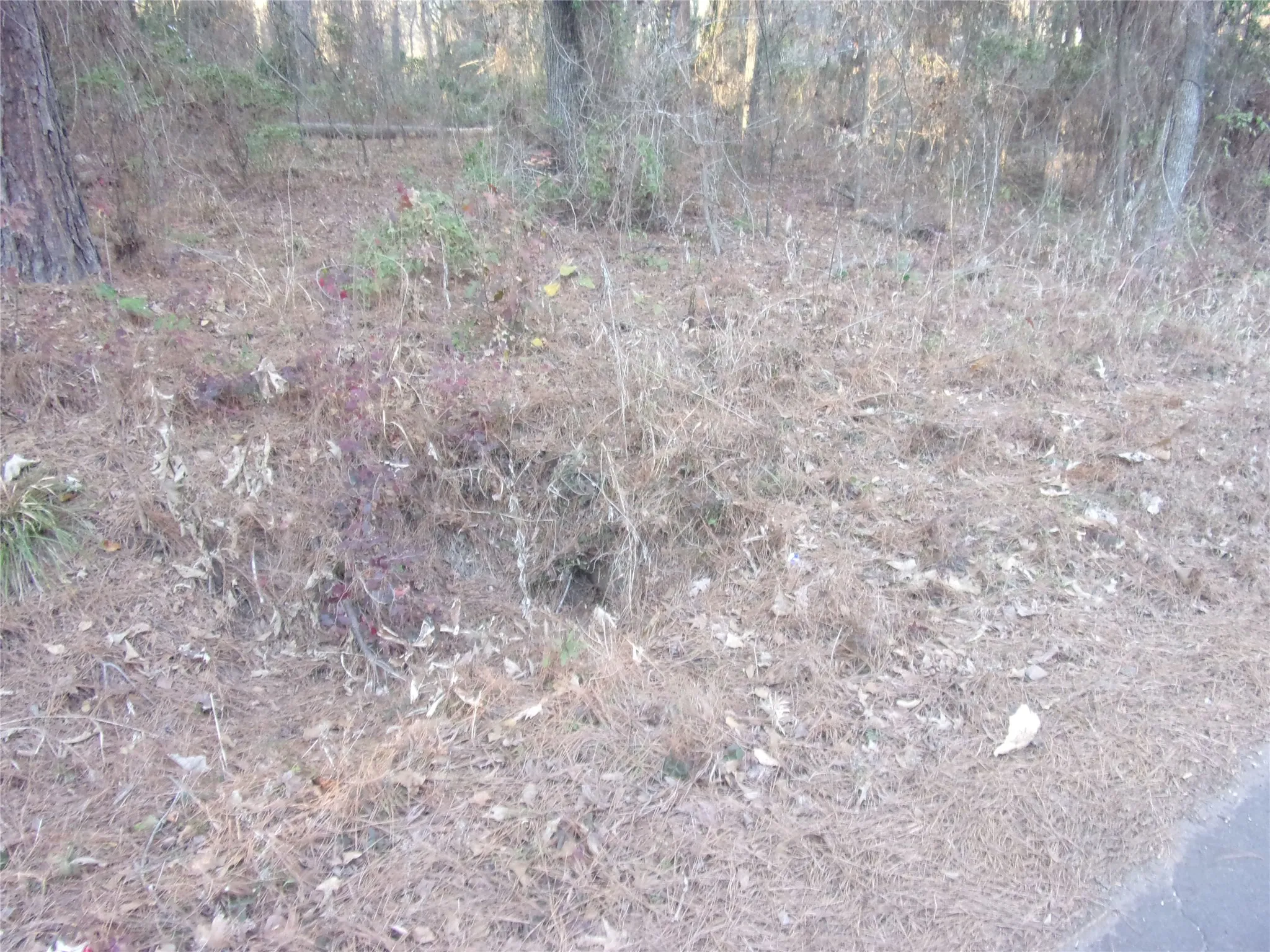 driveway and culvert to the lots