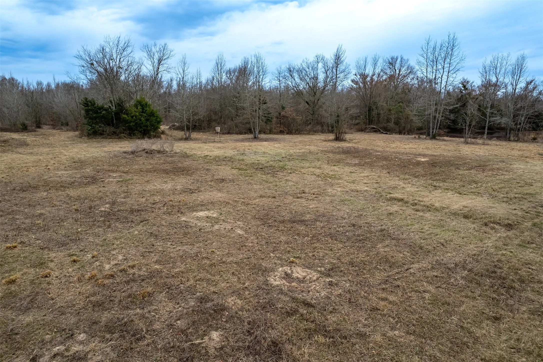Improved Land For Sale in Franklin (TX) County , 139 NW County Road 1061, Talco, Texas 75487, 0, 0, Garage spaces, 0 Sqft, built in 0, mls#21180247, Real Estate Agent in Talco, Homes For Sale in Franklin (TX) county, Homes For Sale in Talco, Realtor in Talco Texas, Real Estate Brokerage Independent Realty Texas, Luminita Cordes Realtor