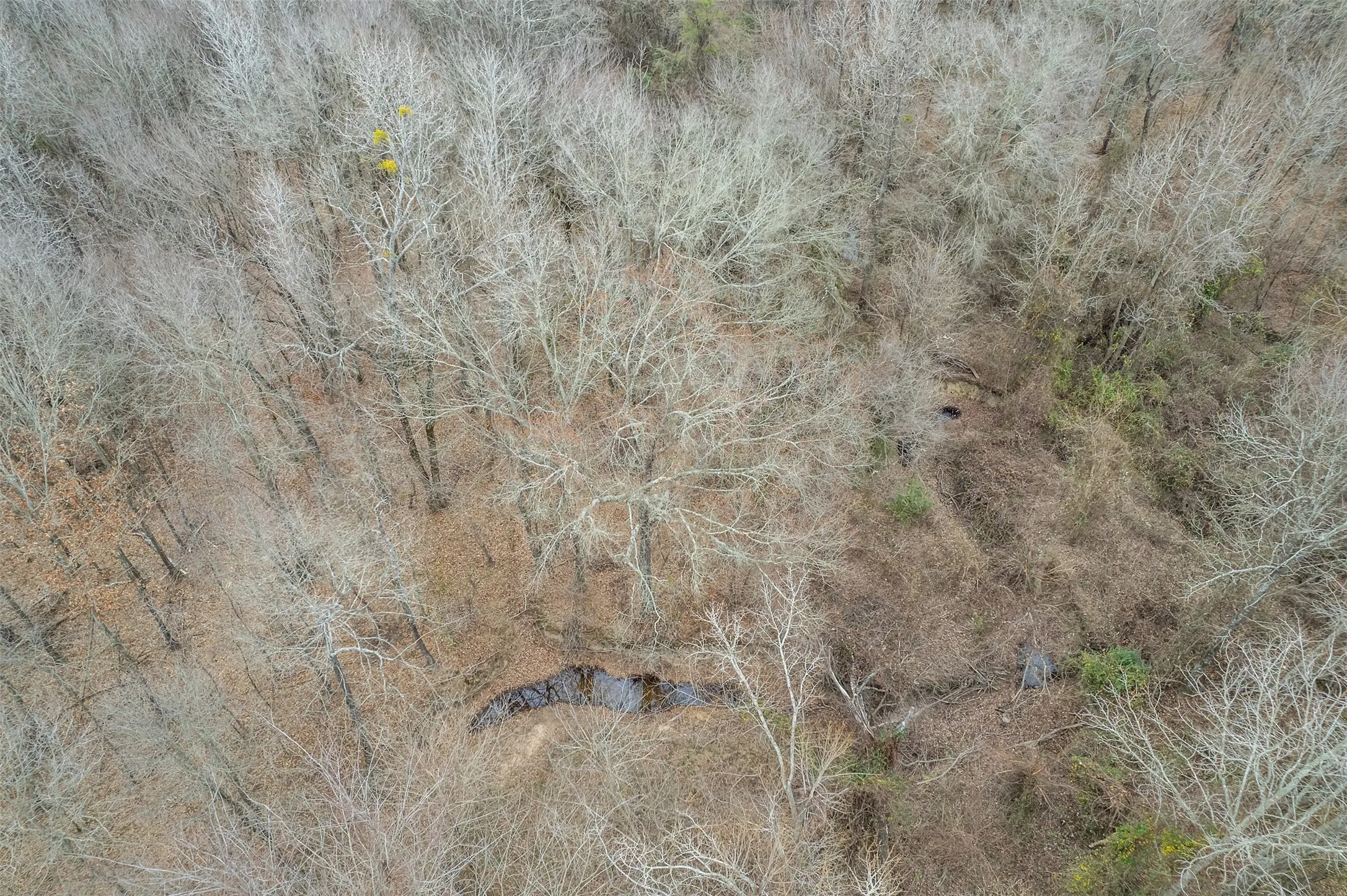 Improved Land For Sale in Franklin (TX) County , 139 NW County Road 1061, Talco, Texas 75487, 0, 0, Garage spaces, 0 Sqft, built in 0, mls#21180247, Real Estate Agent in Talco, Homes For Sale in Franklin (TX) county, Homes For Sale in Talco, Realtor in Talco Texas, Real Estate Brokerage Independent Realty Texas, Luminita Cordes Realtor